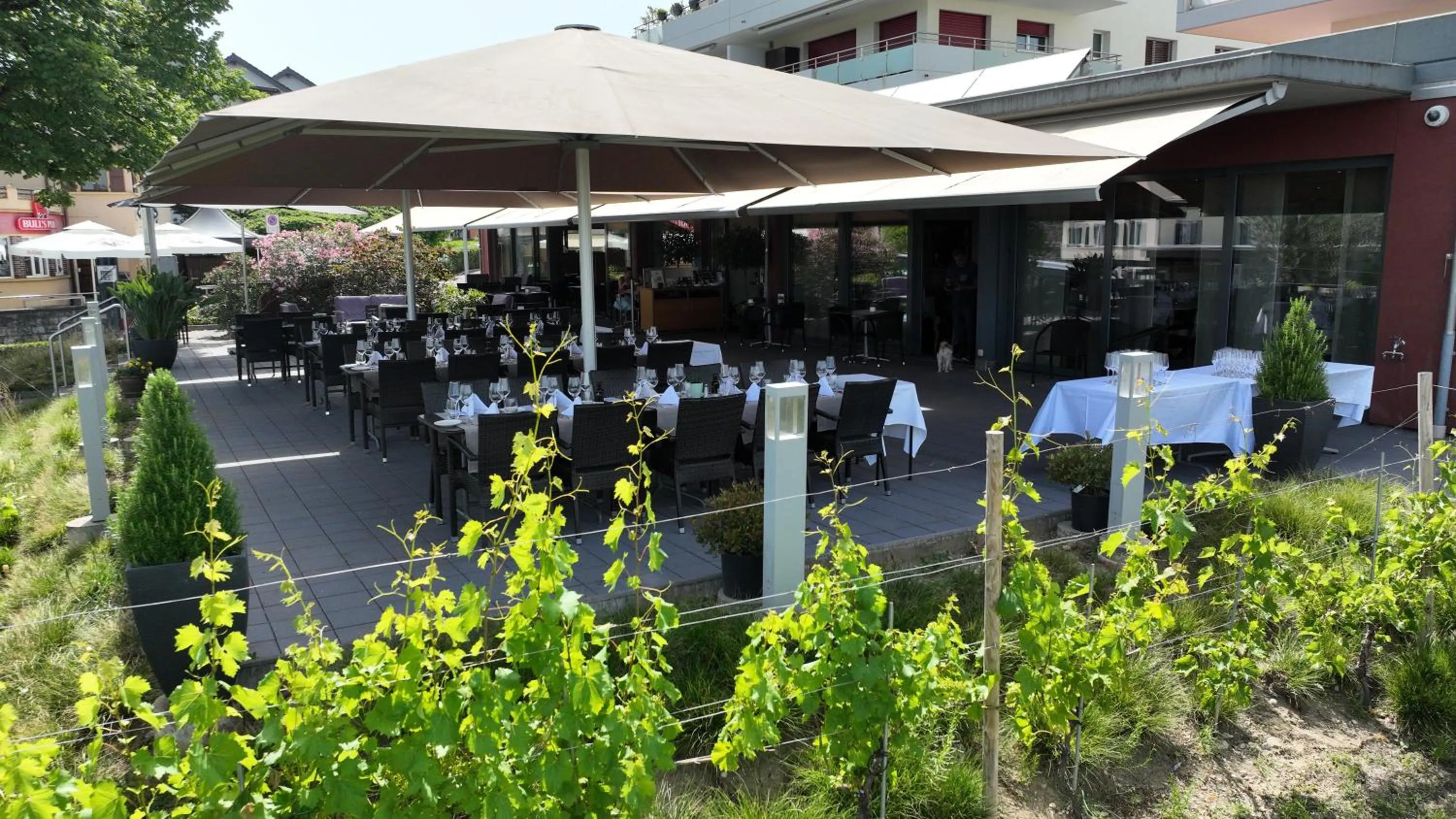 Balcony/Terrace in Hôtel Glanis