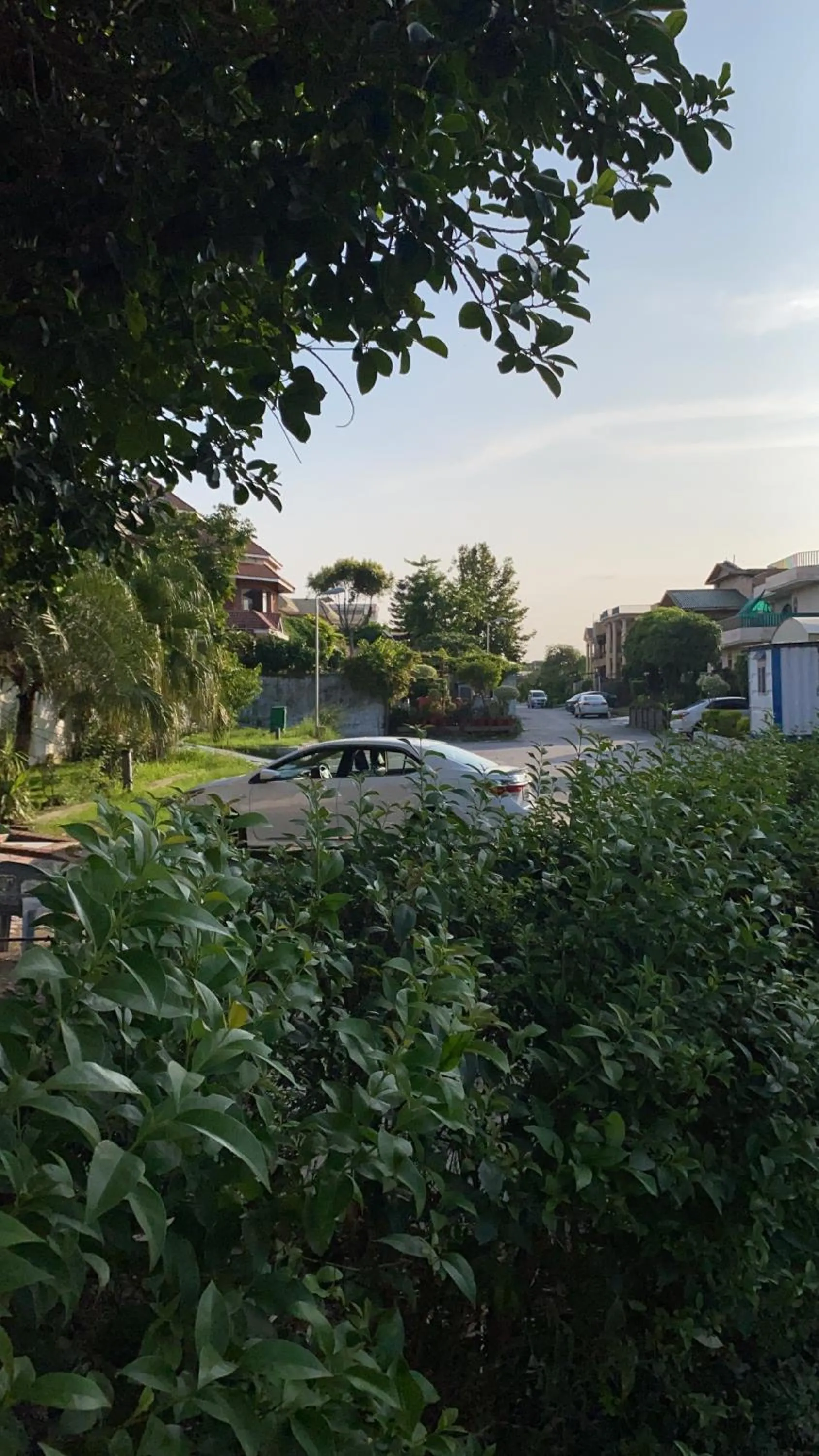 Neighbourhood in The Comfort Lodge