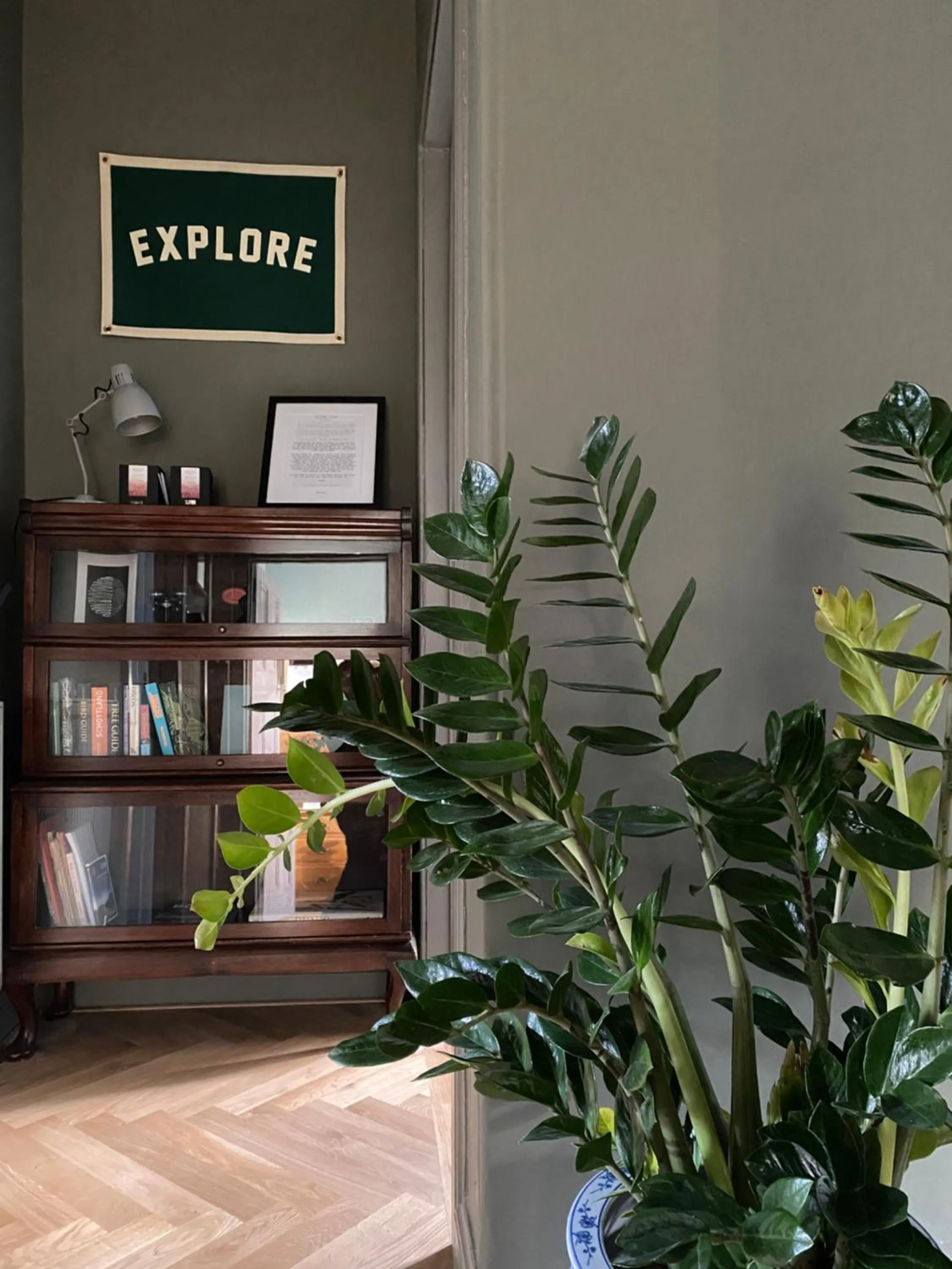 Other in Ben A'an House