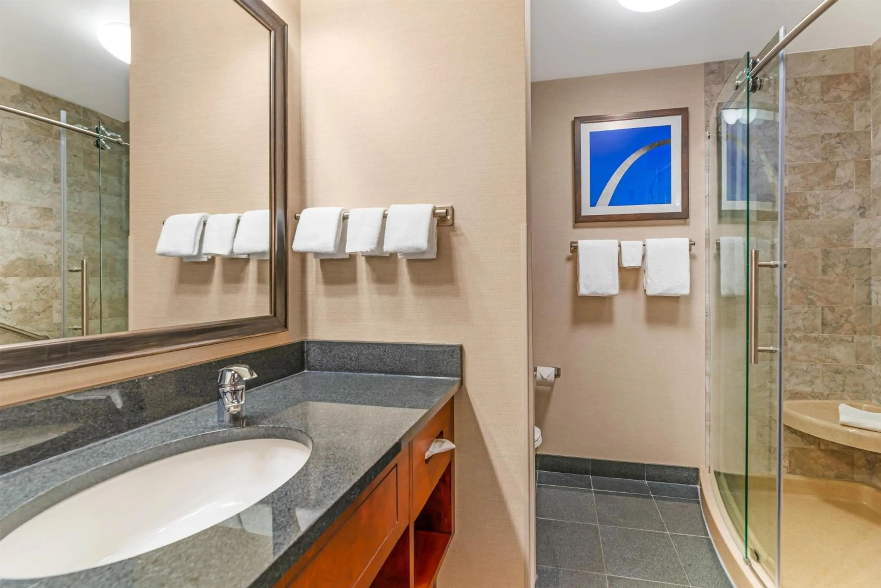 Bathroom in Drury Plaza Hotel St Louis Brentwood