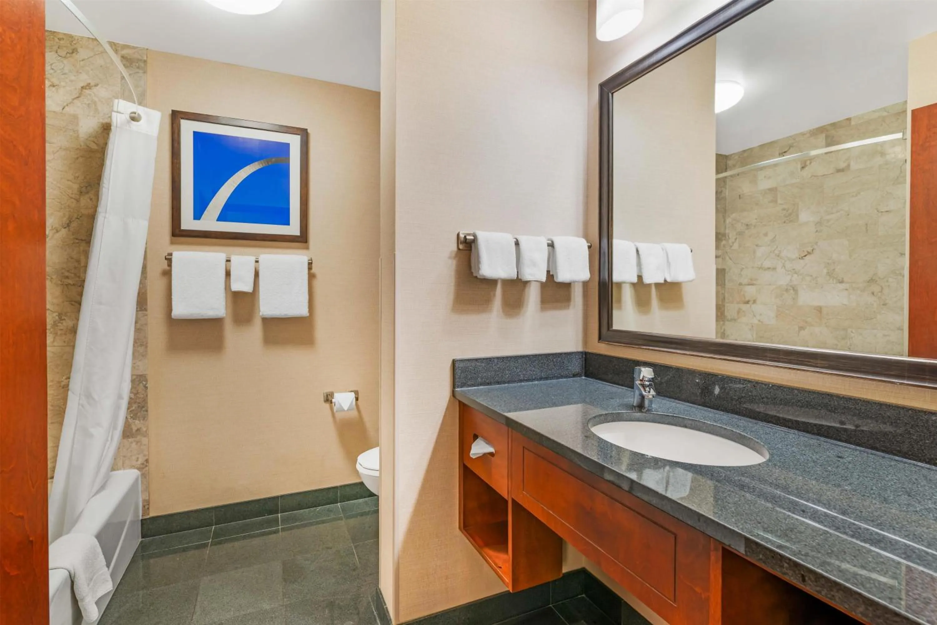 Bathroom in Drury Plaza Hotel St Louis Brentwood
