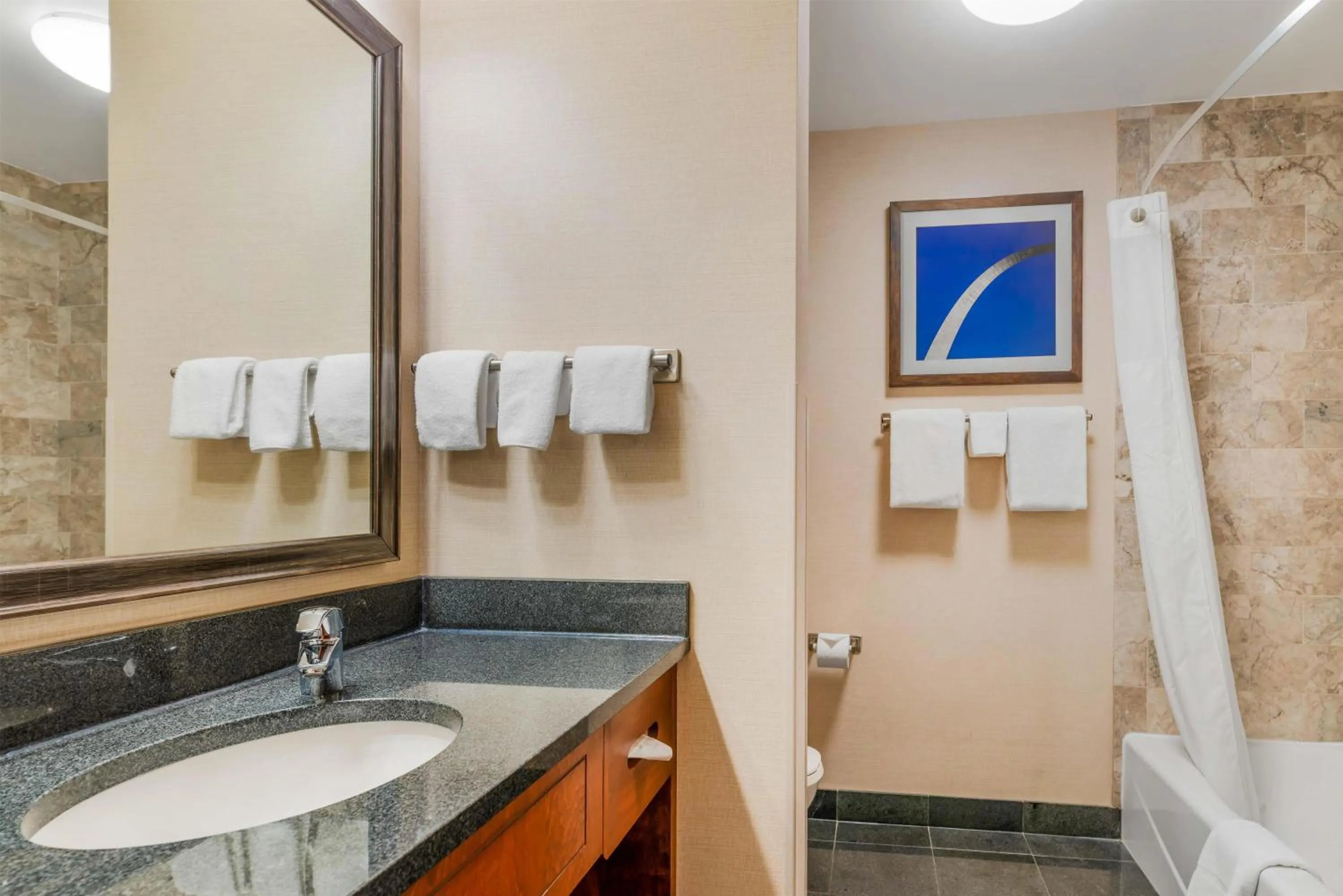Bathroom in Drury Plaza Hotel St Louis Brentwood