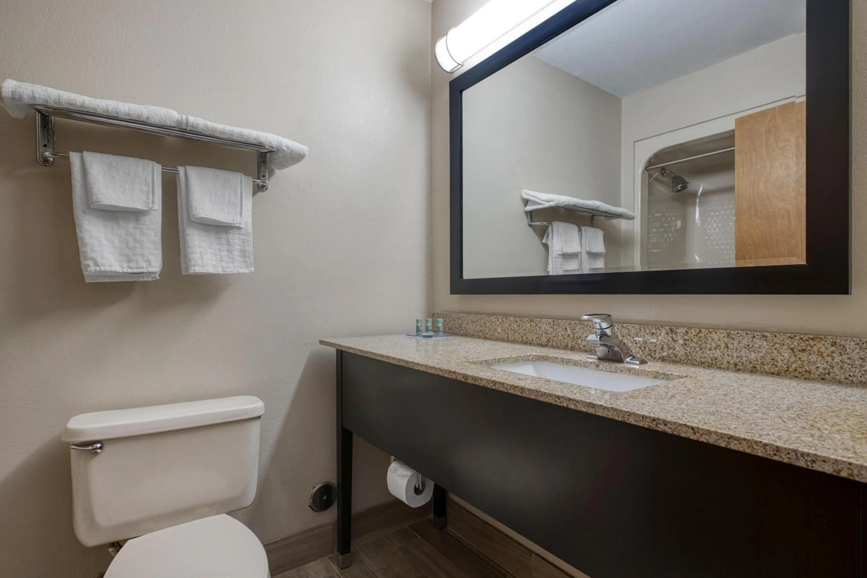 Bathroom in Best Western Executive Inn & Suites