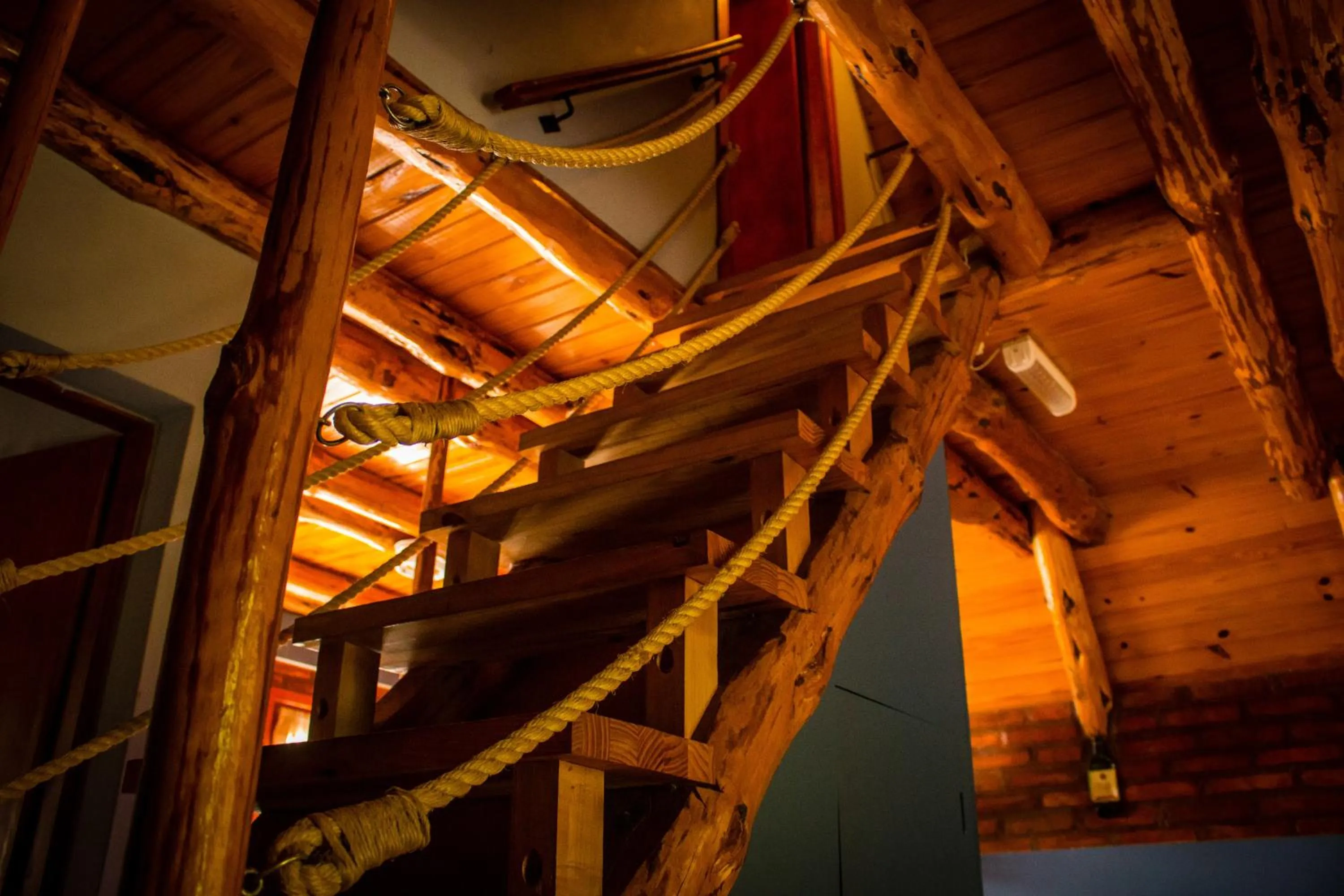 Other in Patagonia Encantada