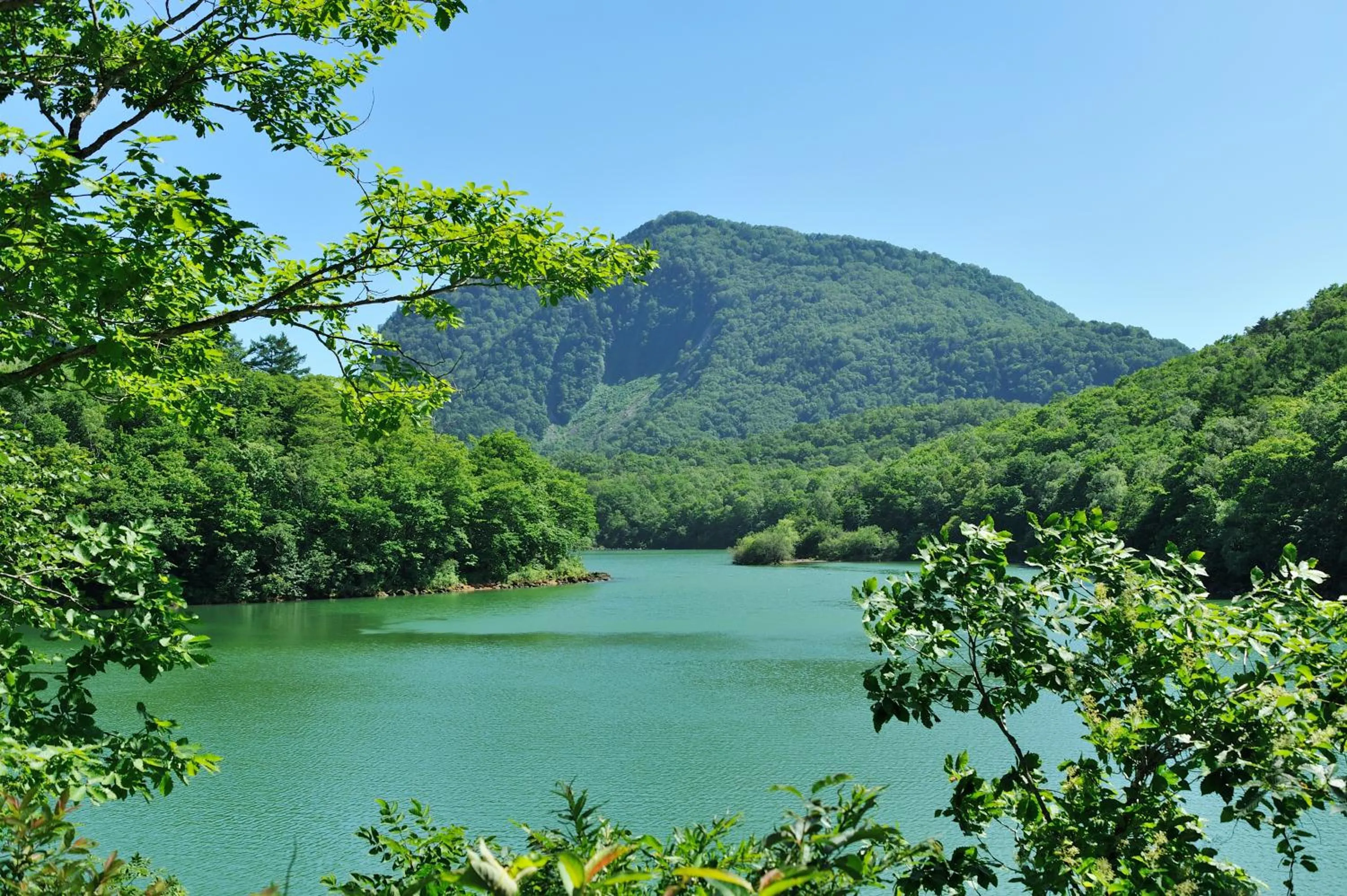 Natural landscape in NOZARU ONSEN HOSTEL