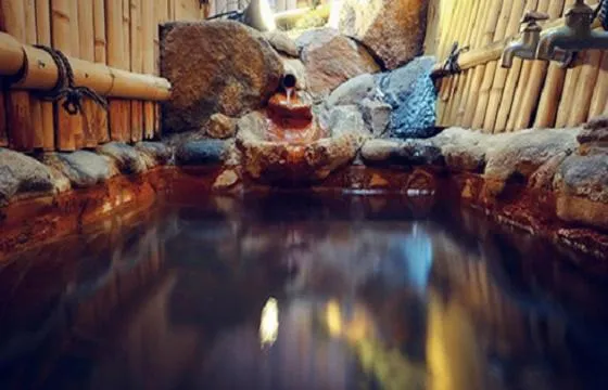 Hot Spring Bath in NOZARU ONSEN HOSTEL