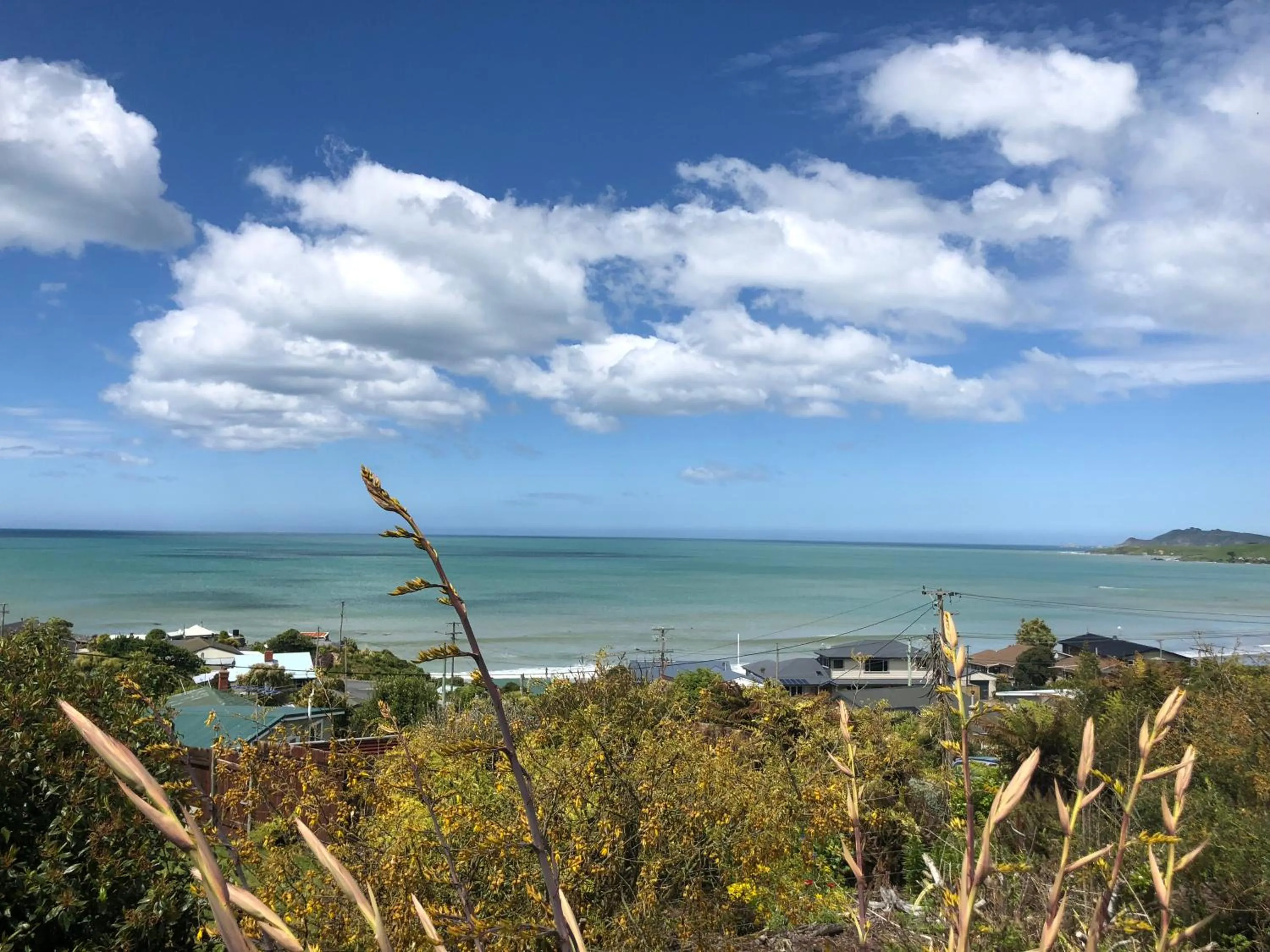 Sea view in Kaka Point Motels