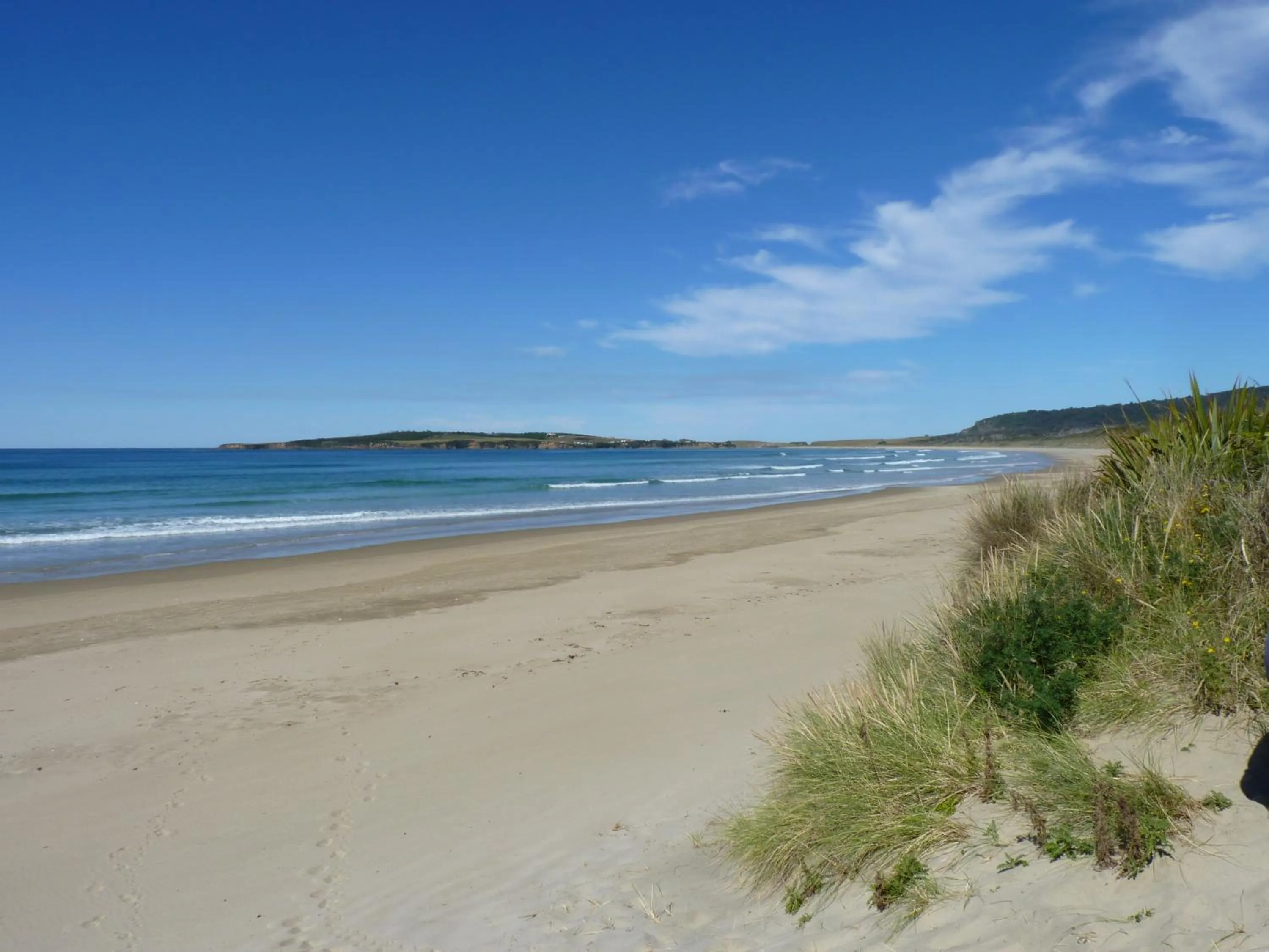 Area and facilities in Kaka Point Motels