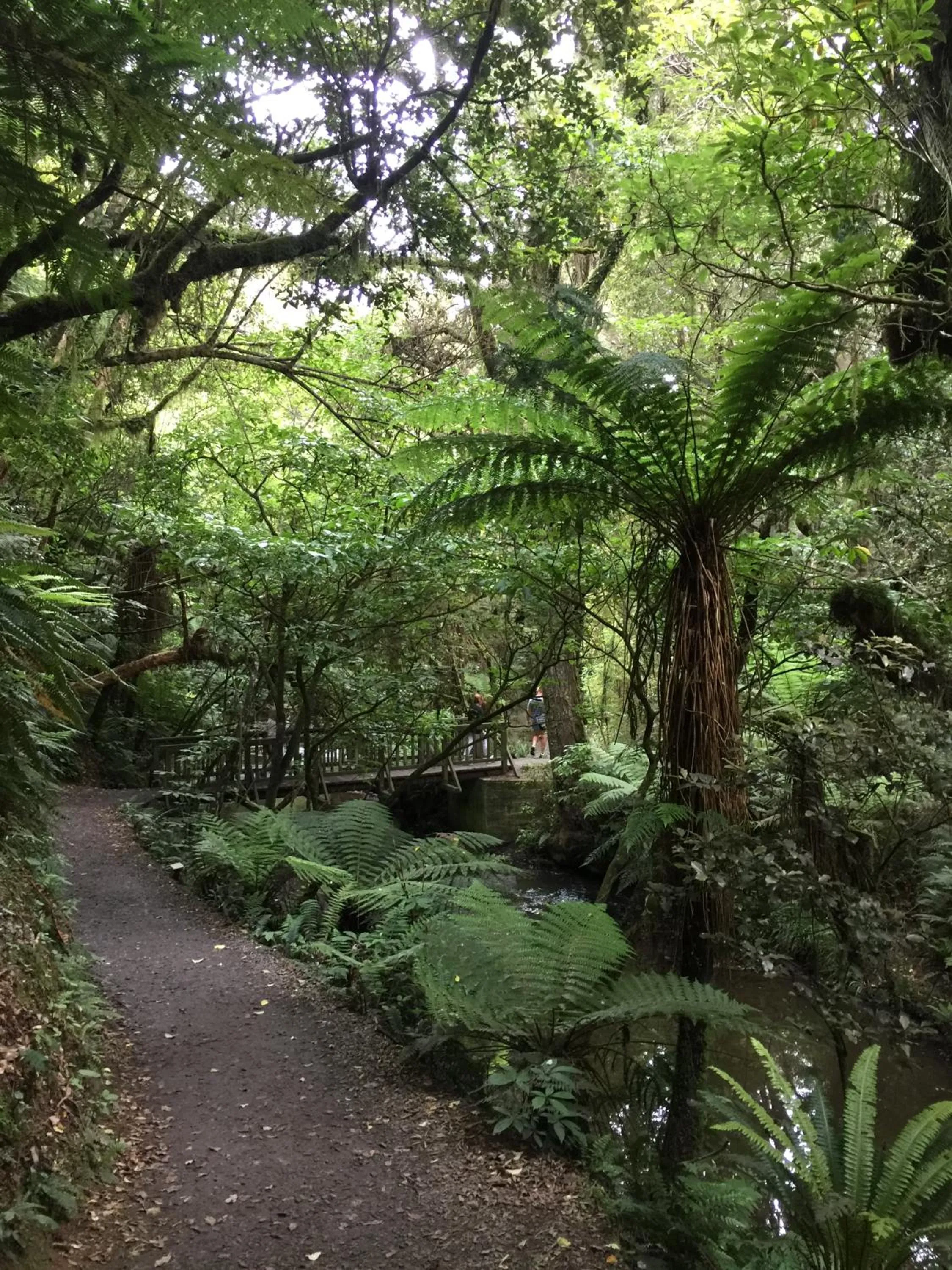 Nearby landmark in Kaka Point Motels