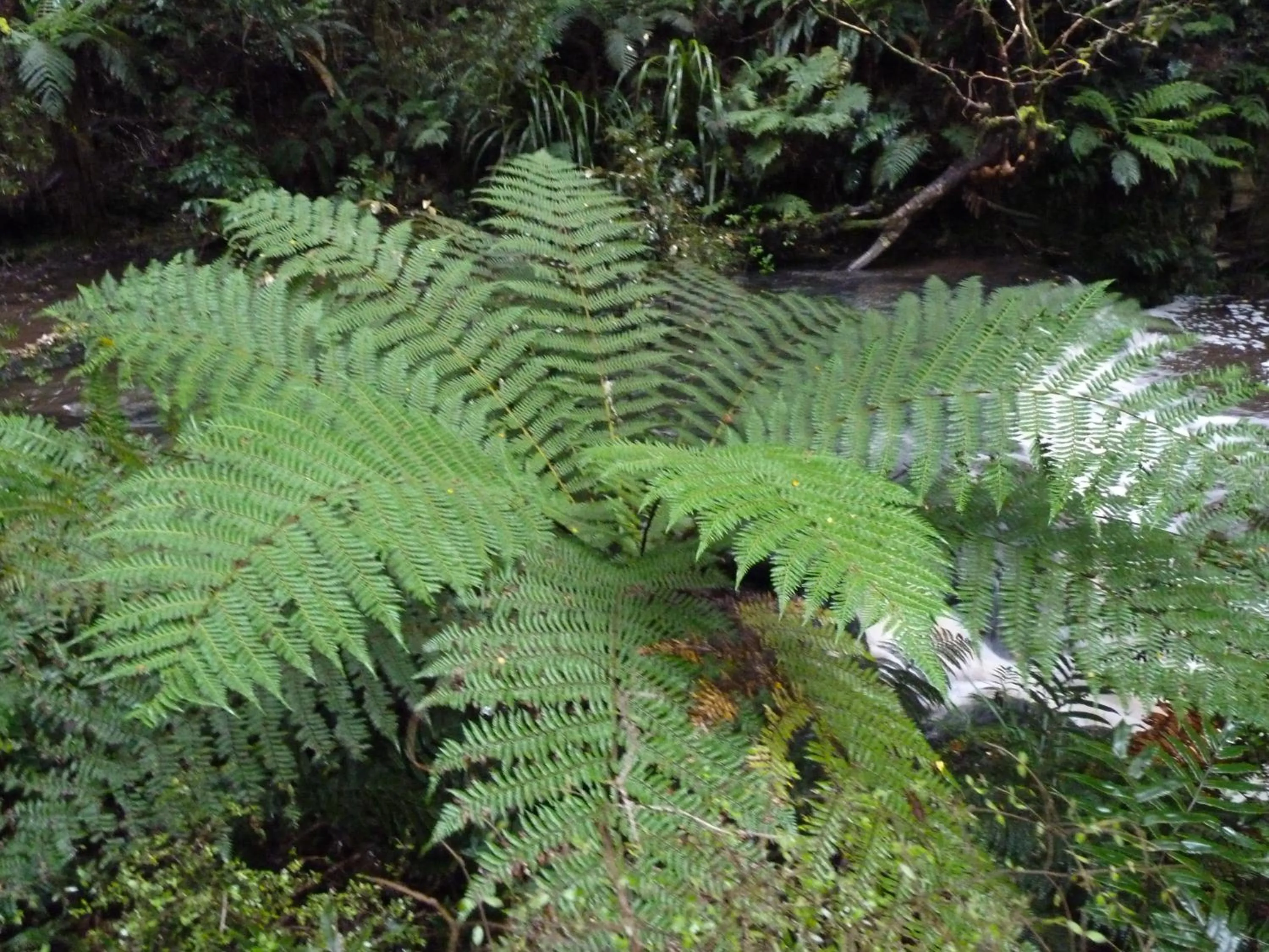 Other in Kaka Point Motels