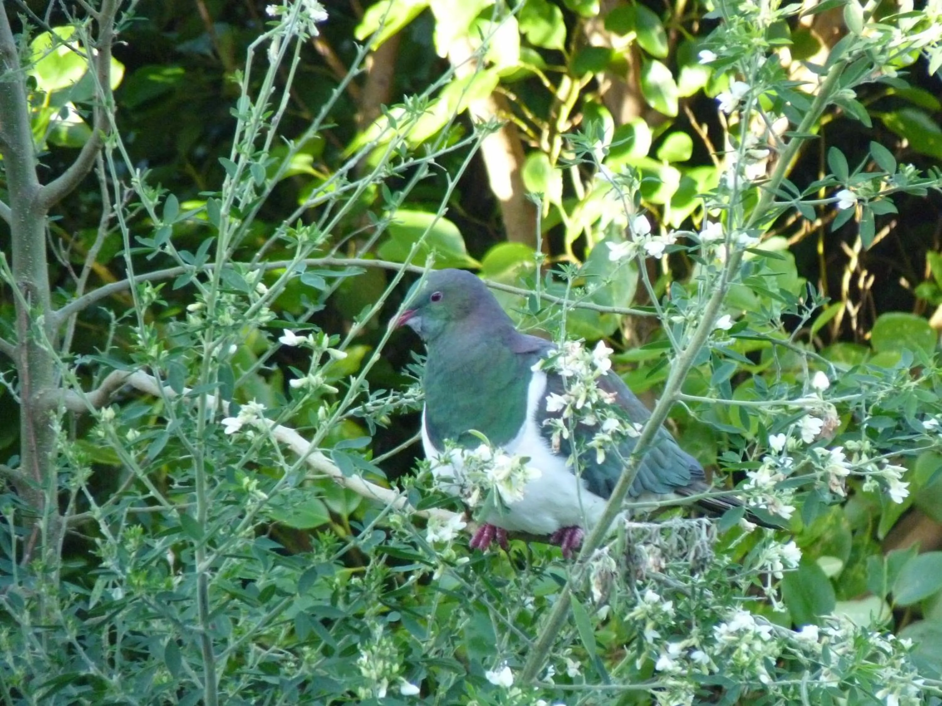 Other in Kaka Point Motels