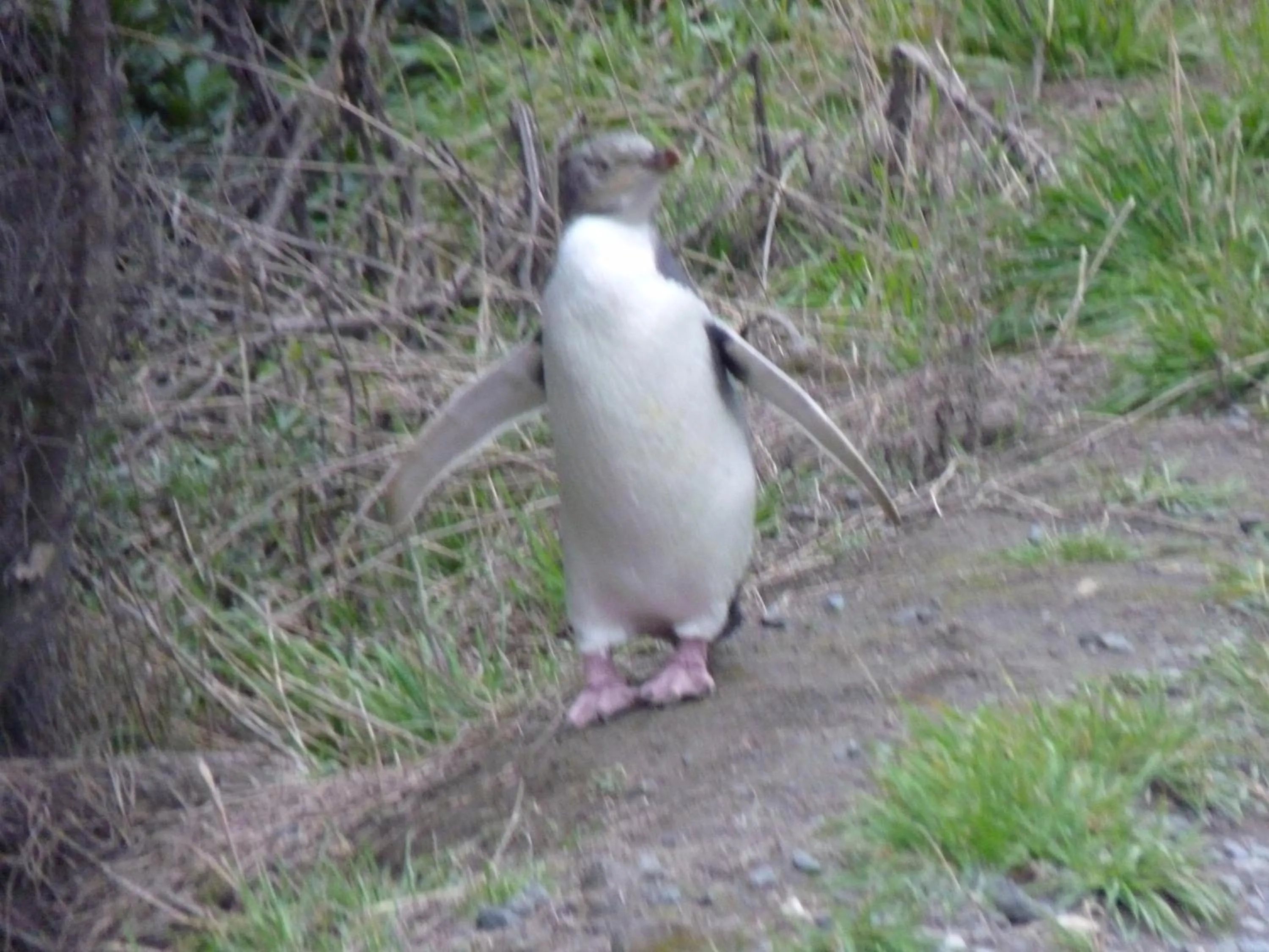 Other in Kaka Point Motels