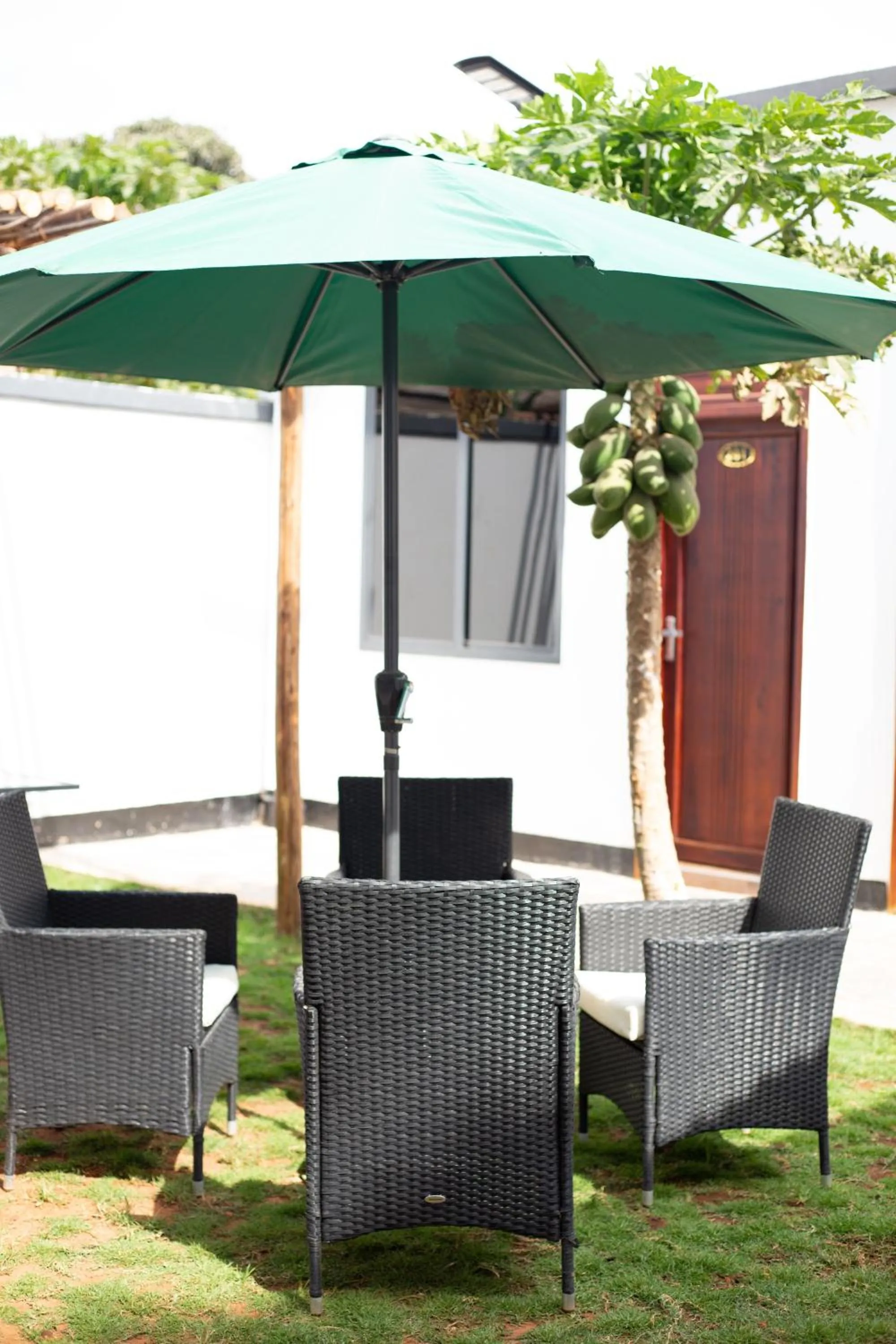 Patio in The Baobab Homestay