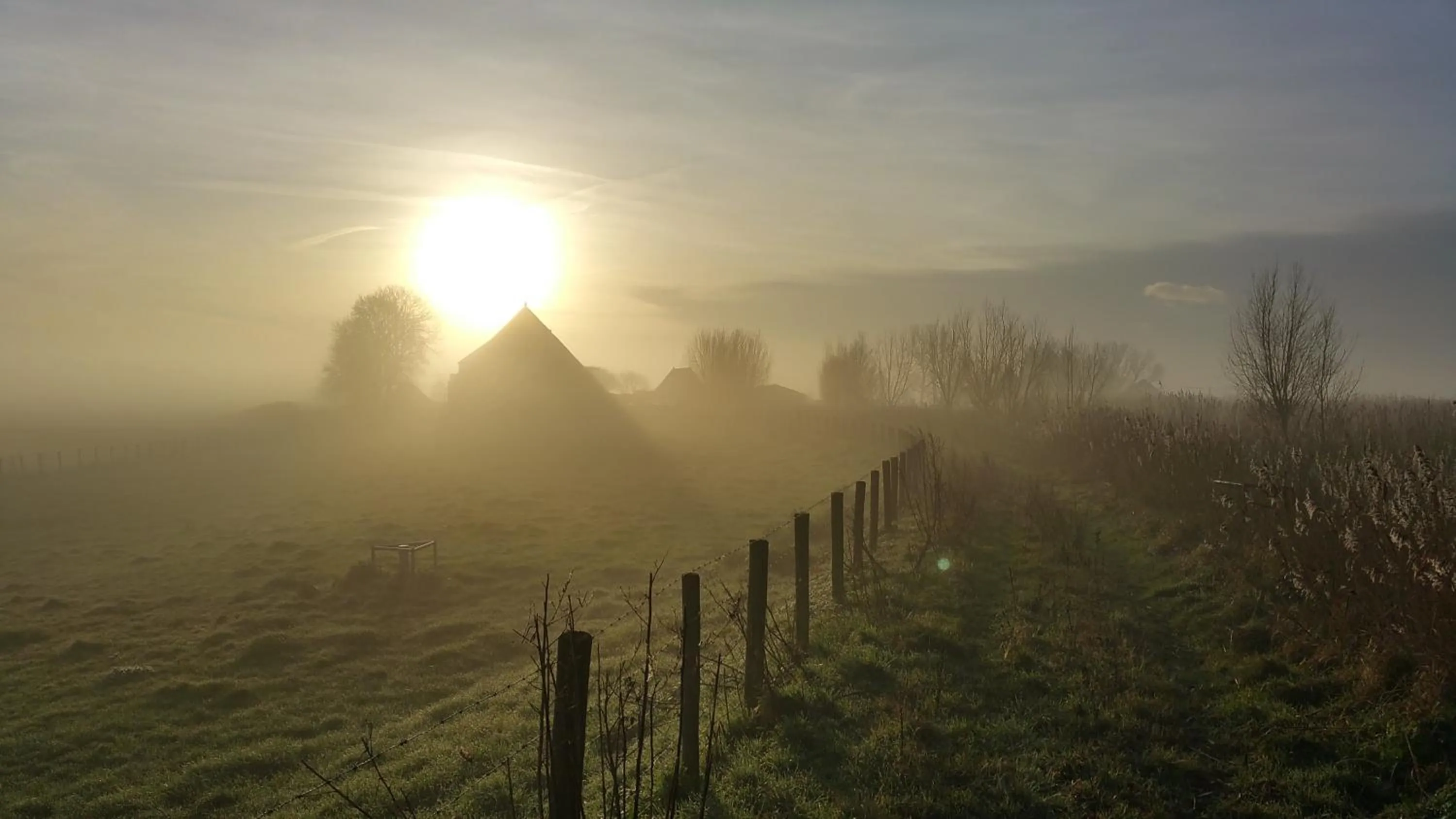 On site in Bed In Waterland