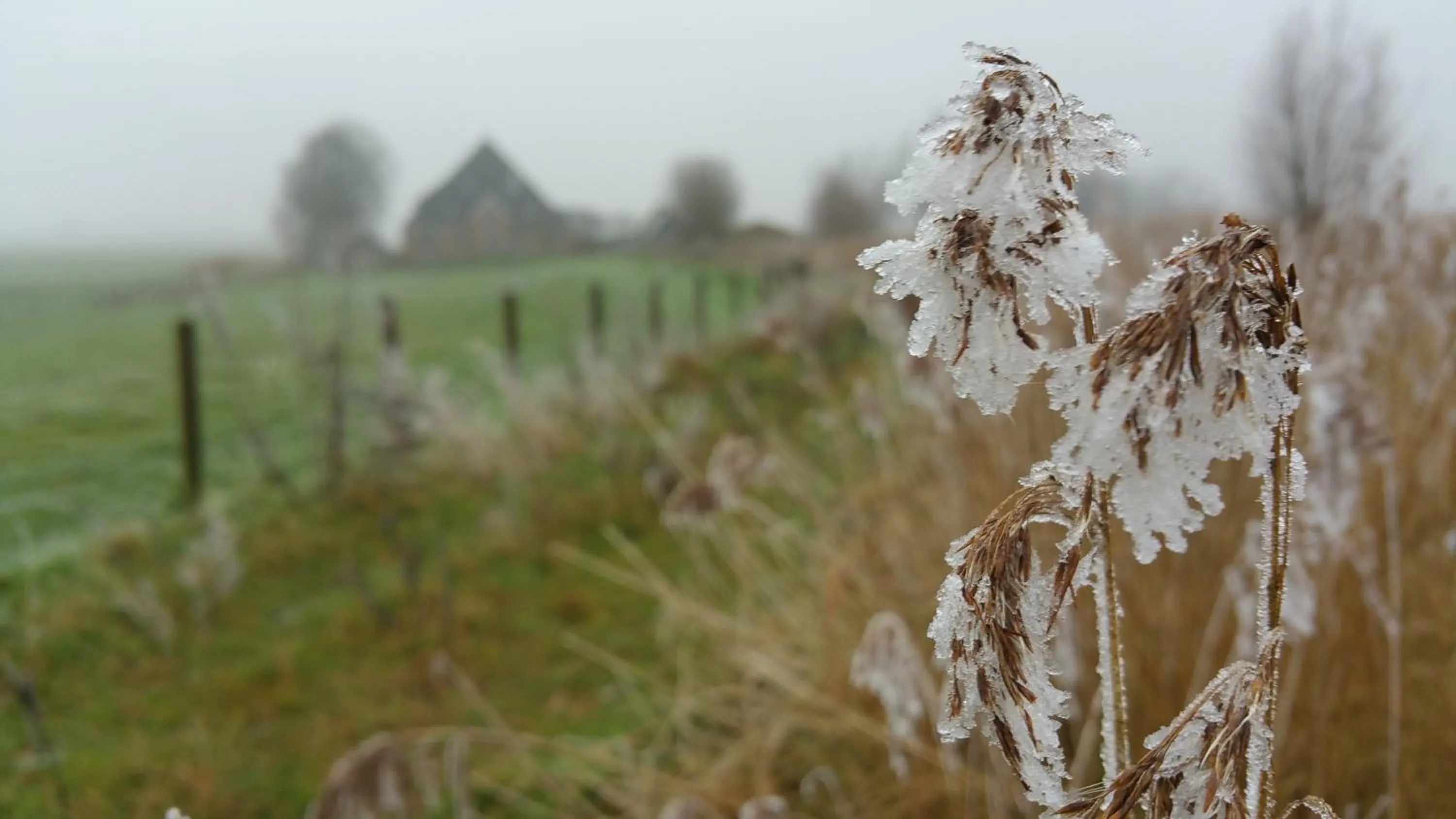 On site in Bed In Waterland