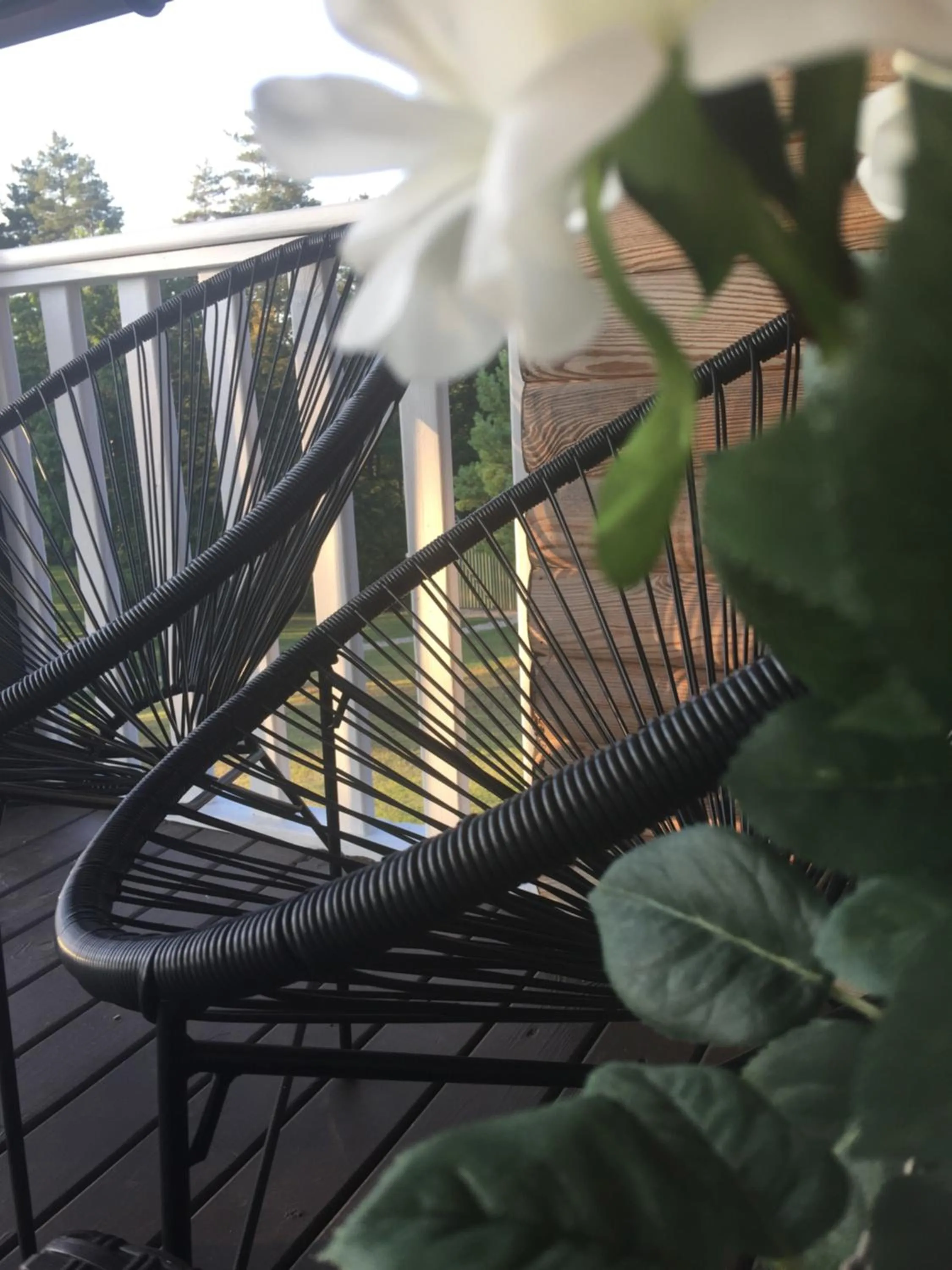 Balcony/Terrace in Kaimo turizmo sodyba Geras