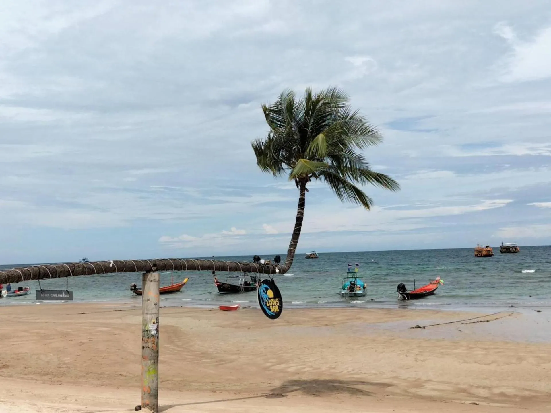 Day in Lotus Hostel Beach Koh Tao