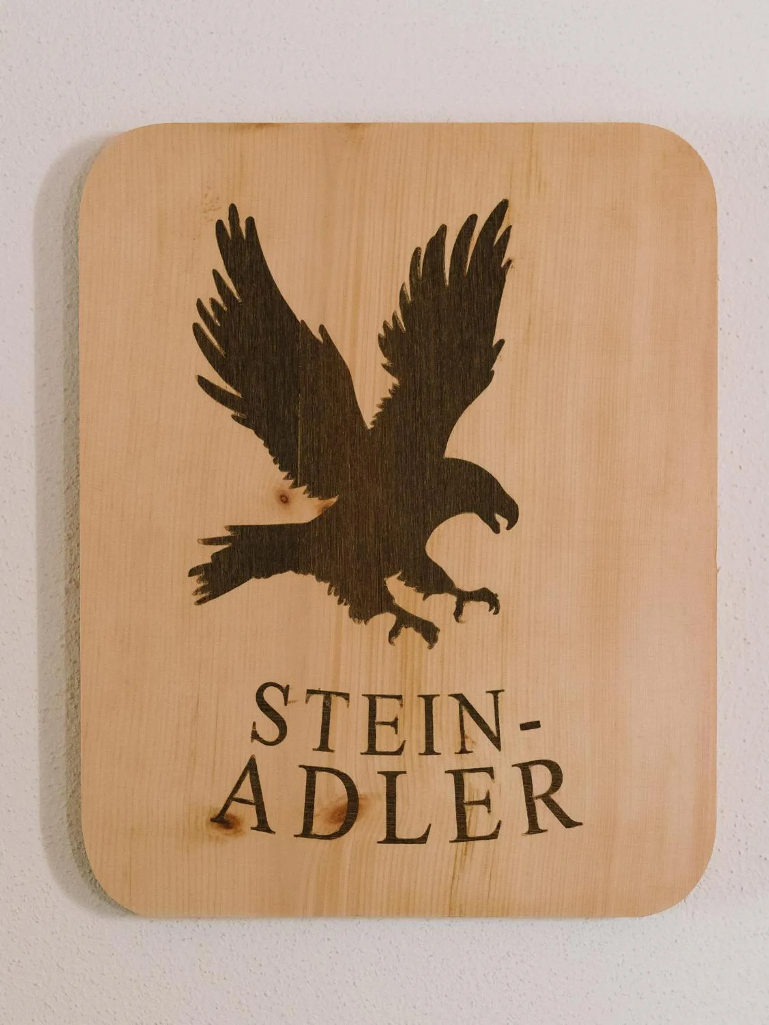 Property logo or sign in Haus Piz Lad