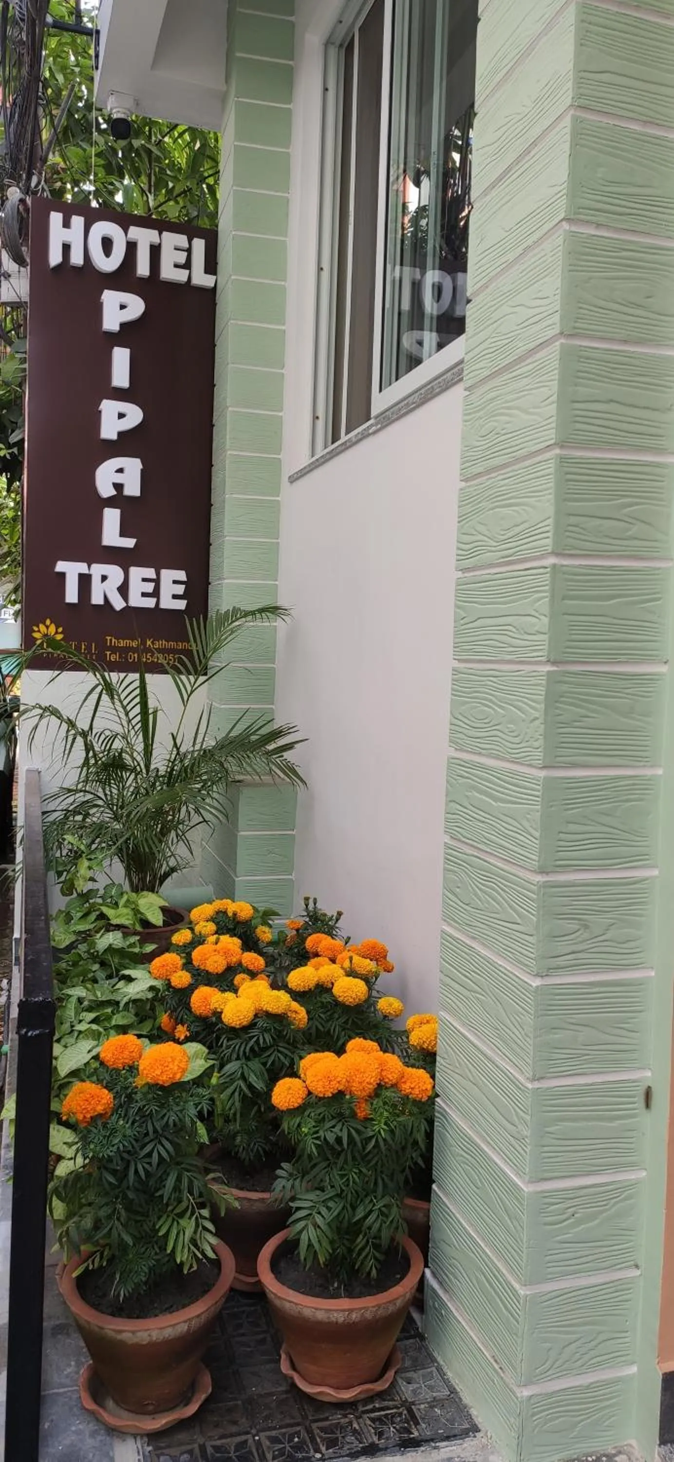 Property building in Hotel Pipal Tree