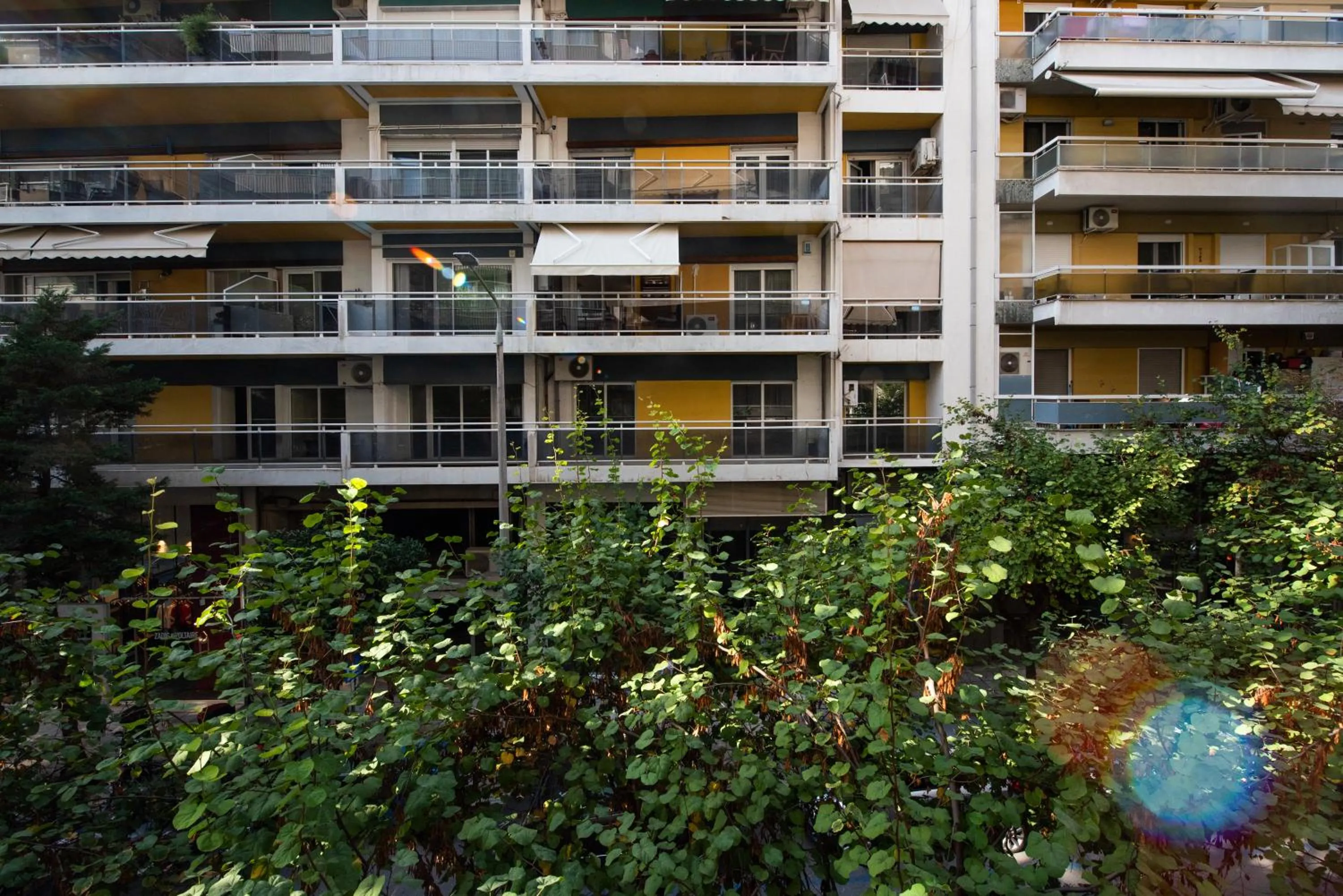 Property building in Mandarin apartments by halu!