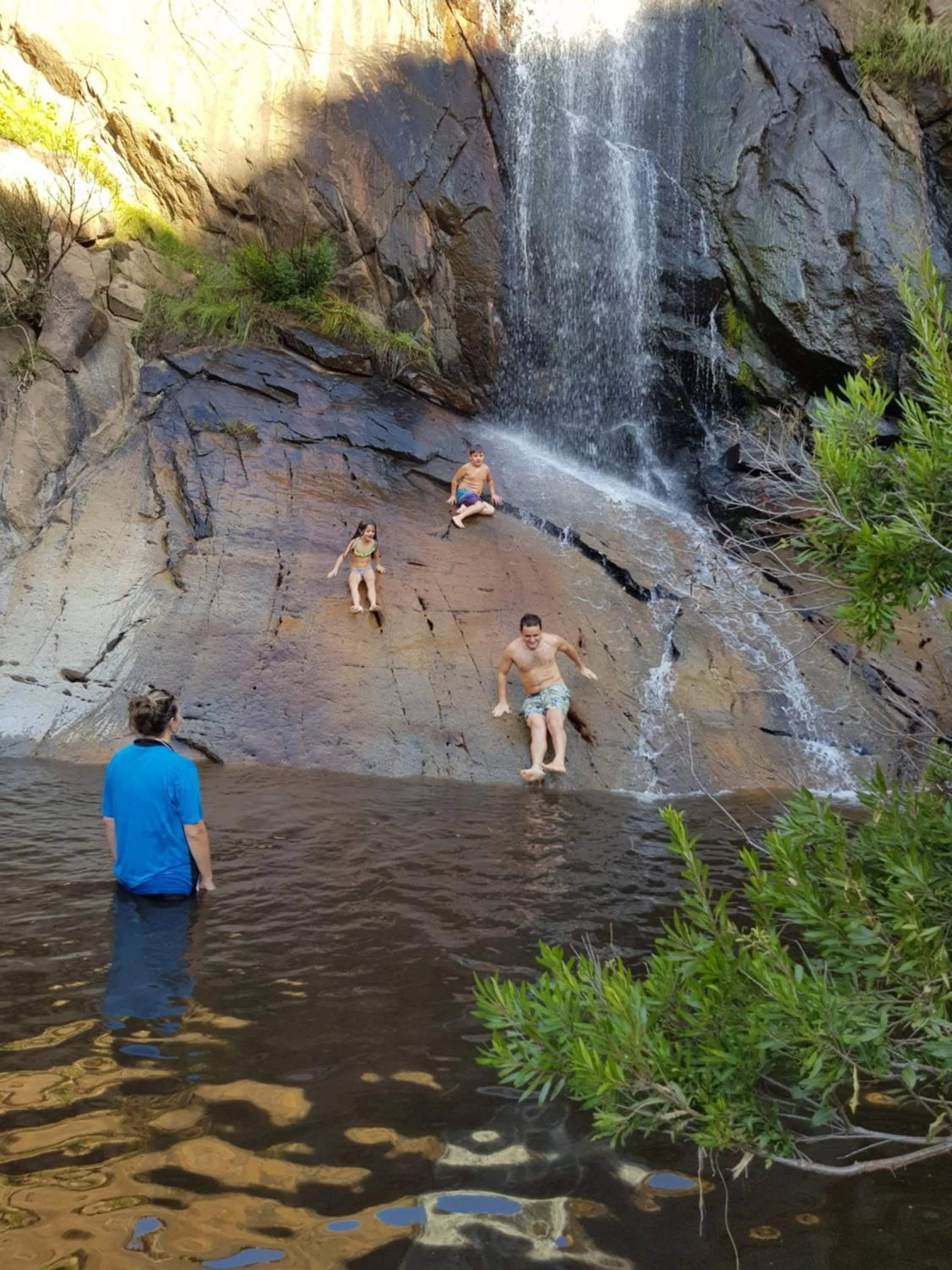 Natural landscape in Orange Grove