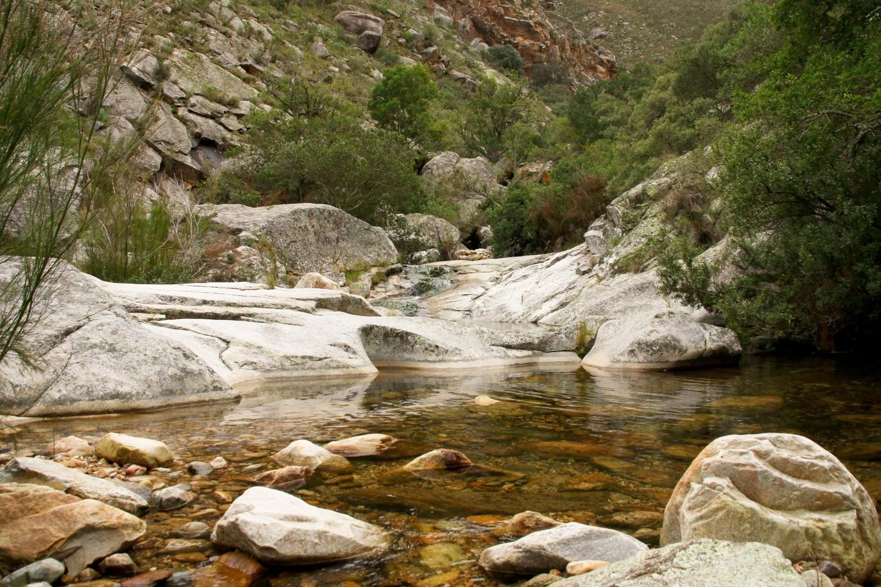 Natural landscape in Orange Grove