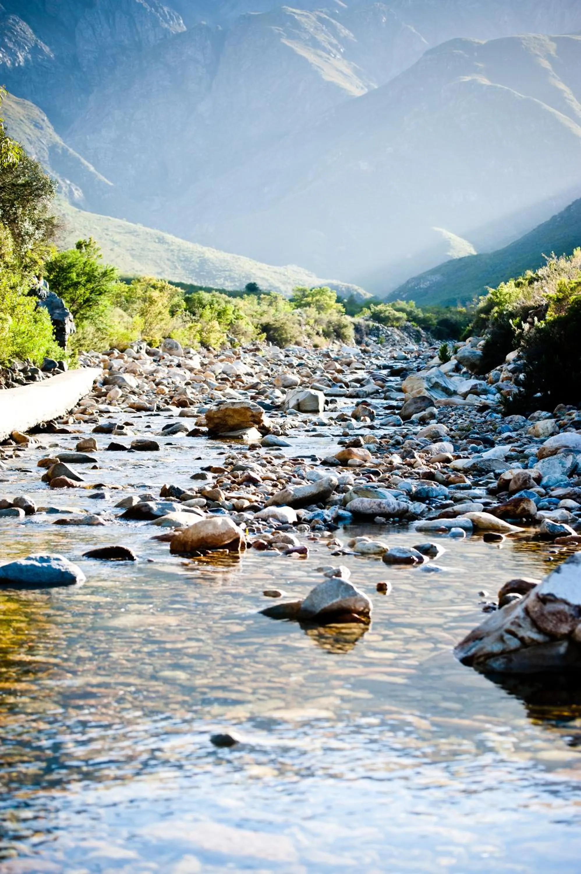Natural landscape in Orange Grove