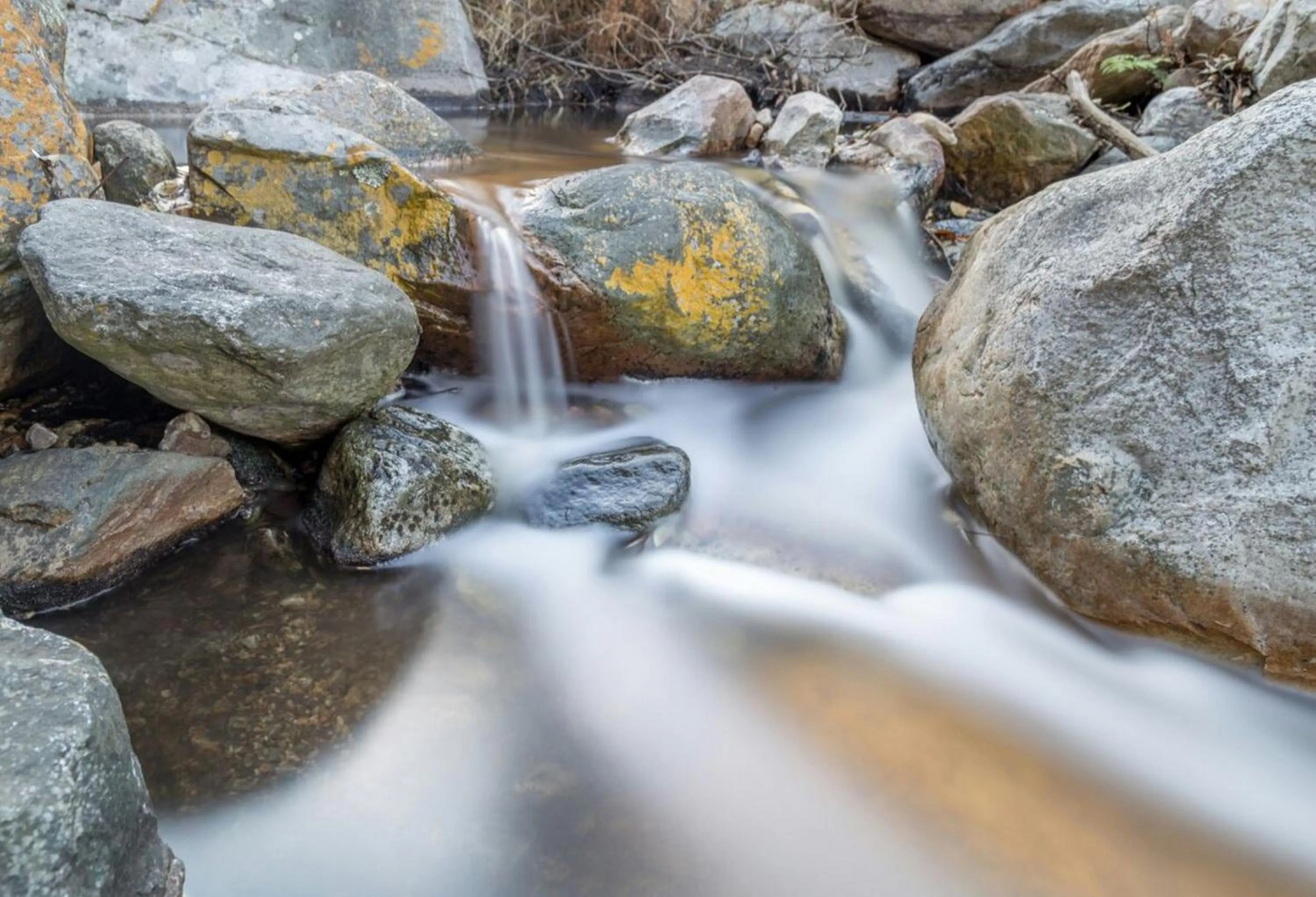 Natural landscape in Orange Grove
