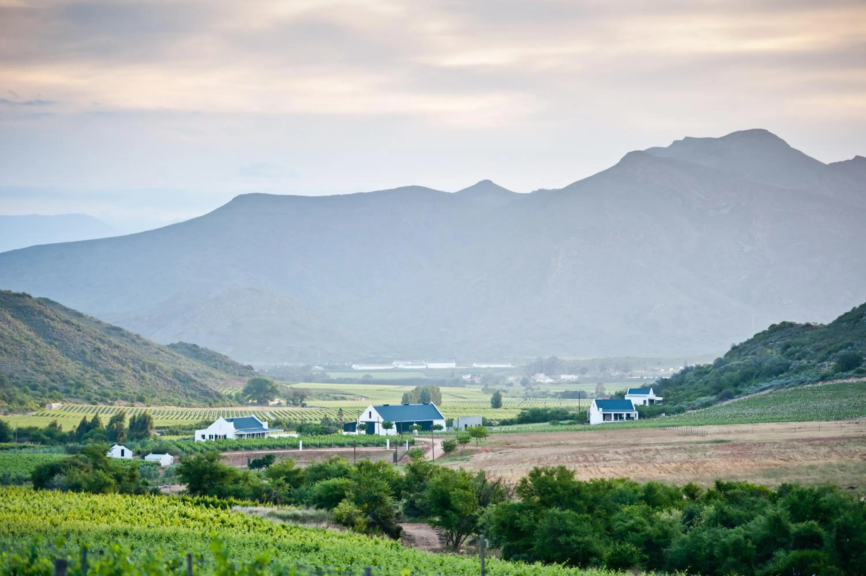 Facade/entrance in Orange Grove