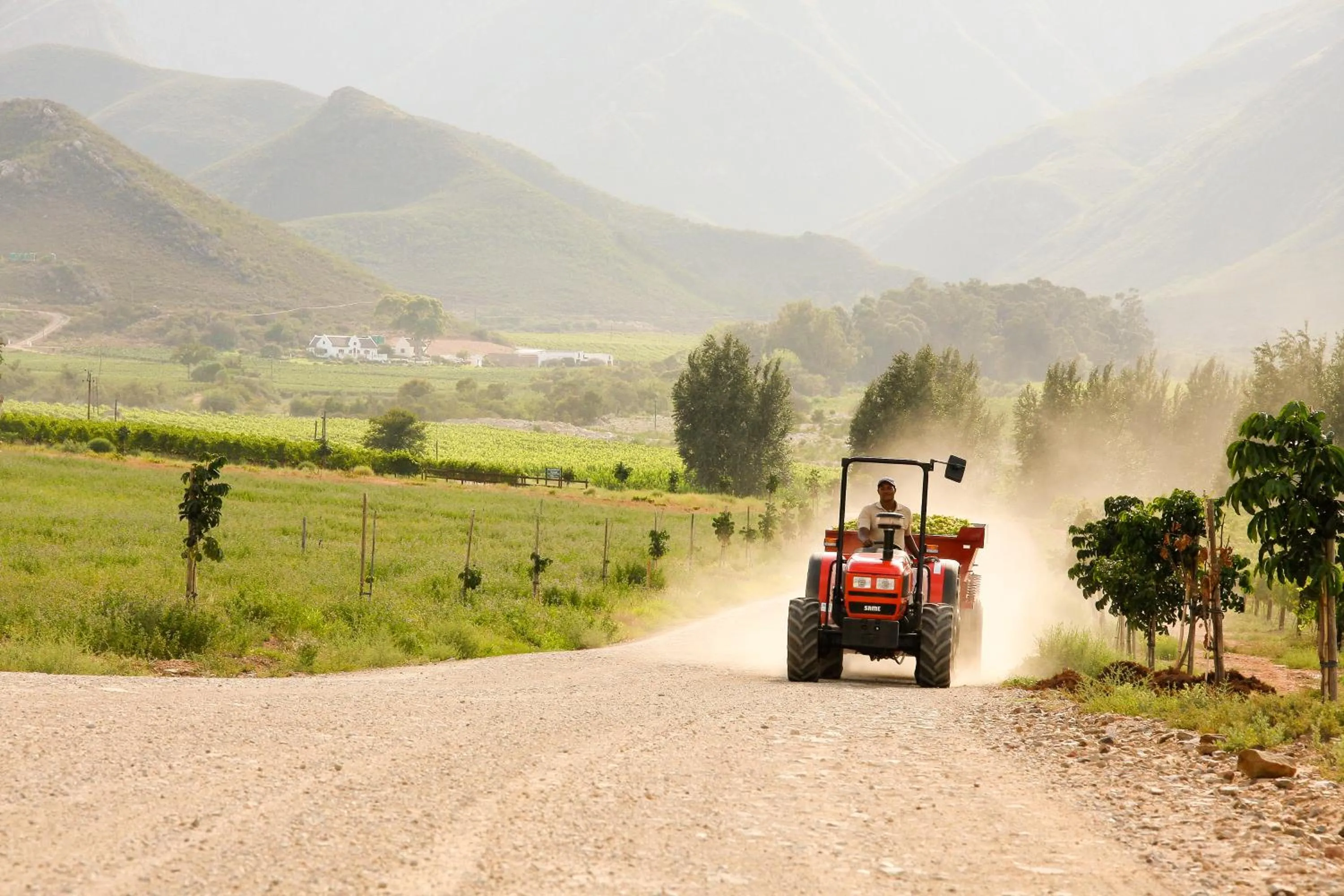 Staff in Orange Grove