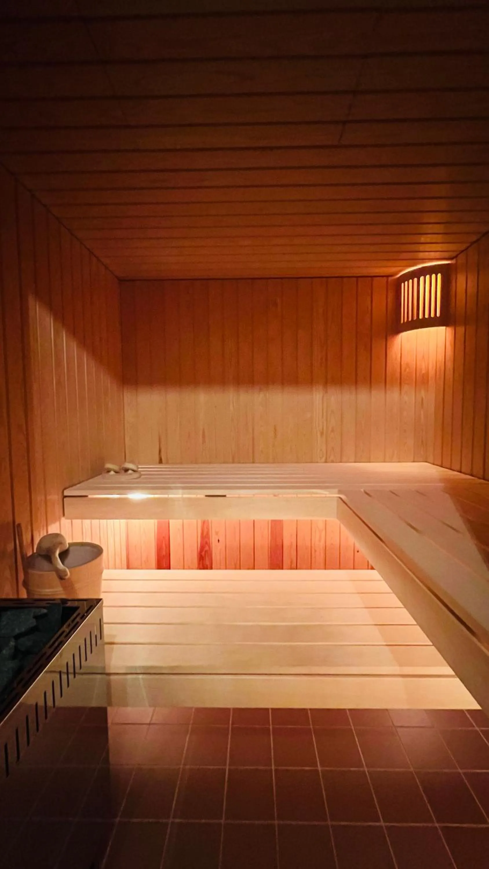 Sauna in Berglodge Goms (Hotel)