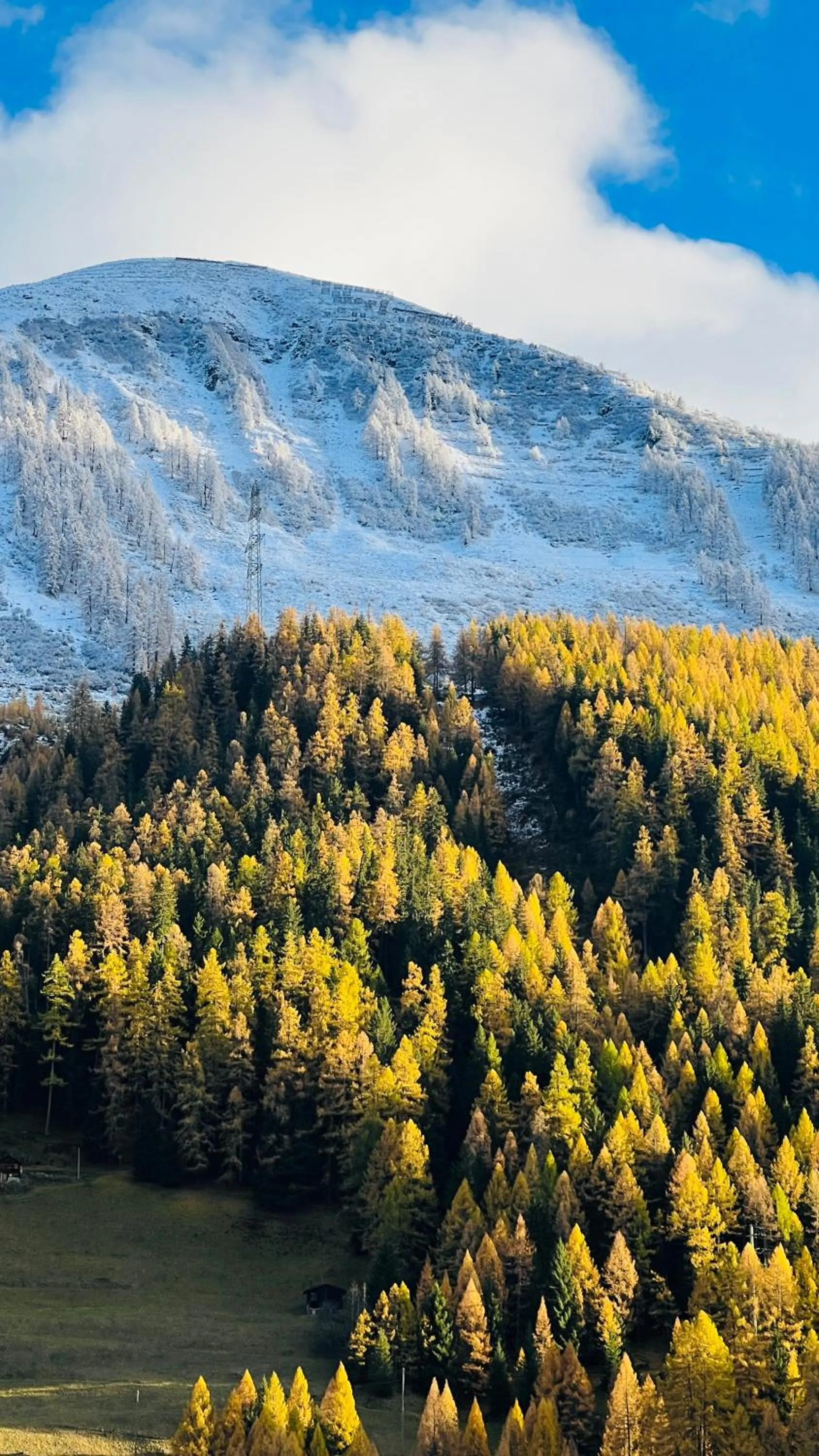 View (from property/room) in Berglodge Goms (Hotel)