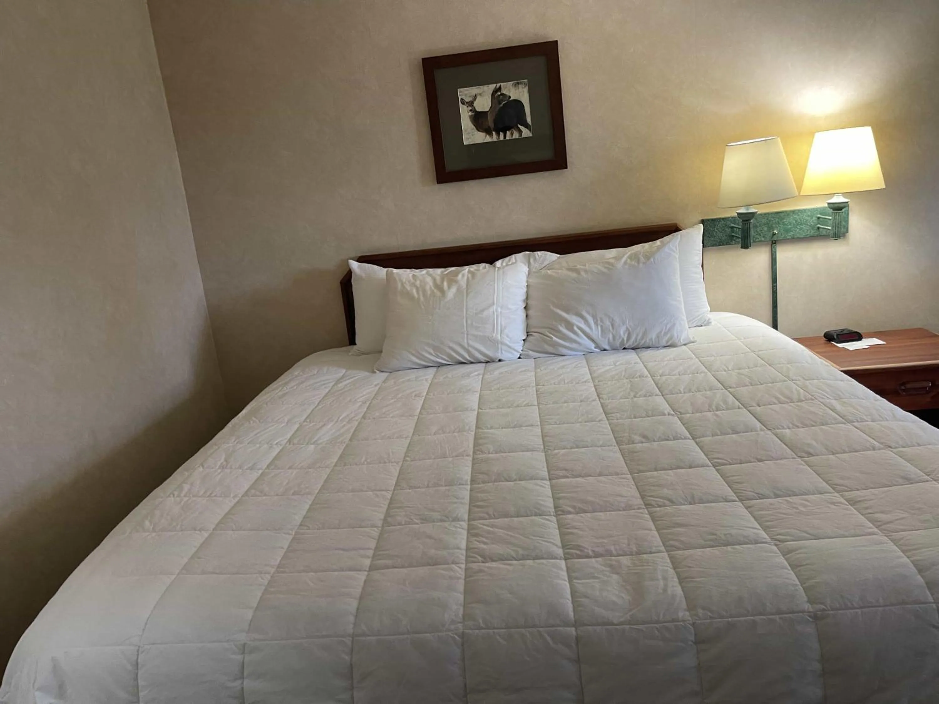 Bed in Hotel Yuma