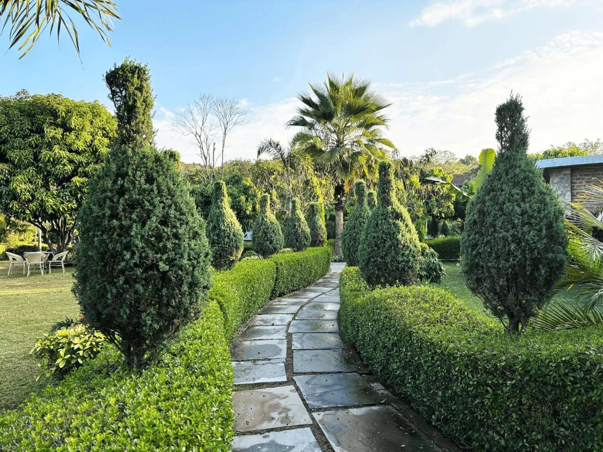 Garden in juSTa Lazy Haven Corbett, Uttarakhand