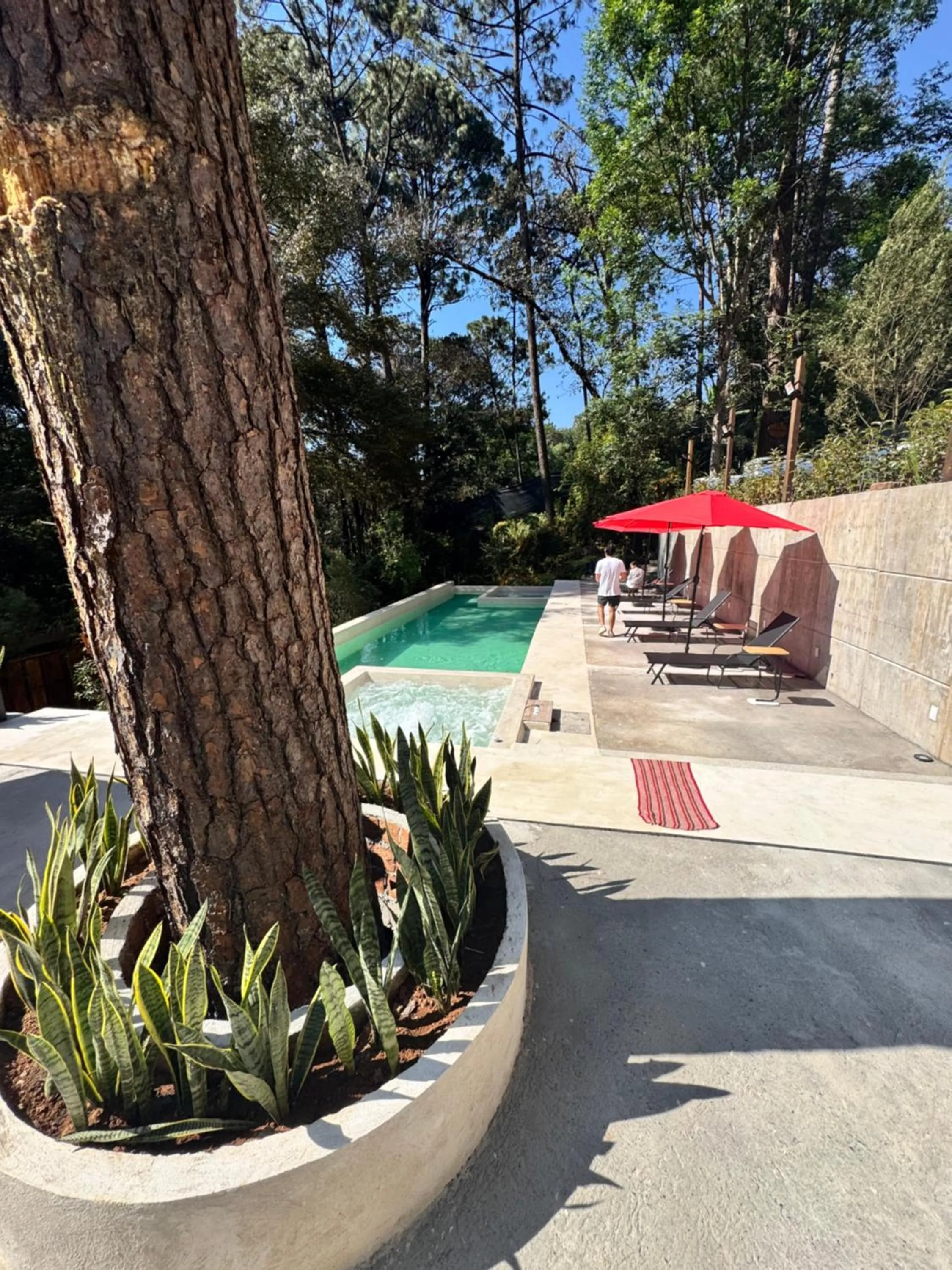 Encino House Hotel Boutique