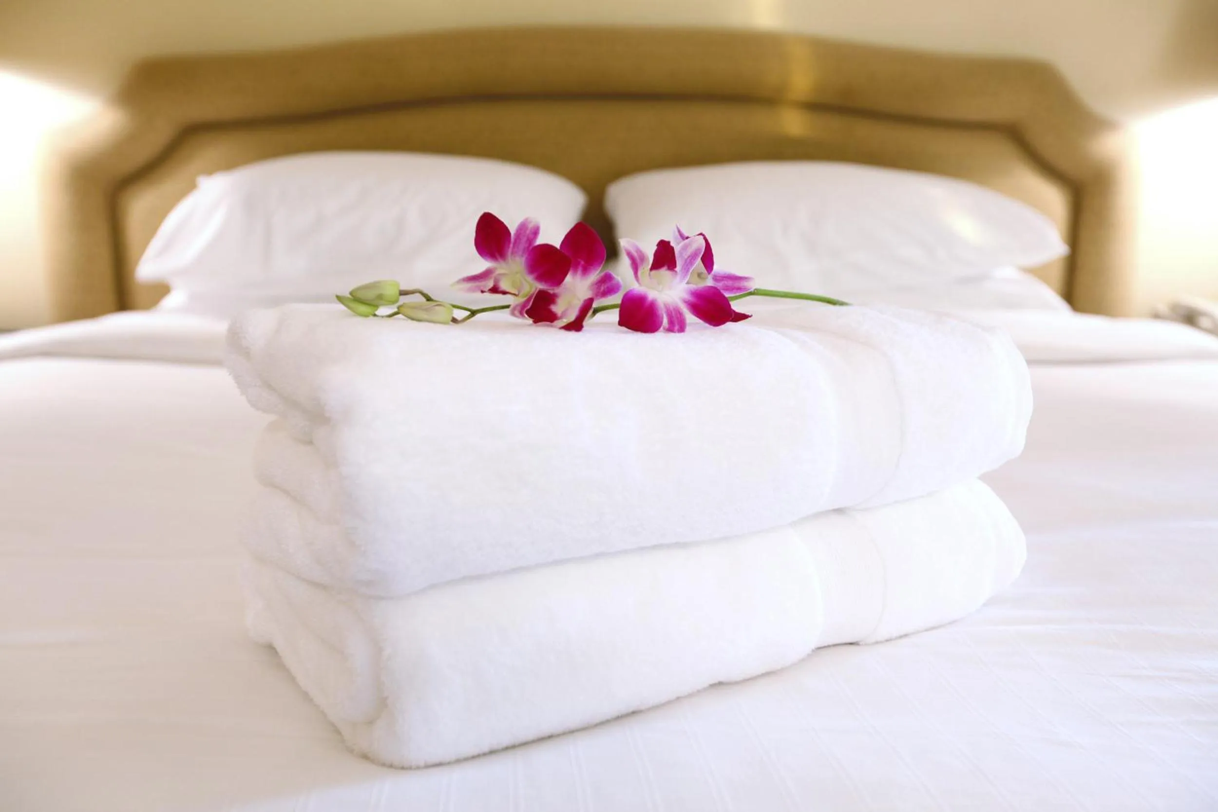 Spring, Bed in Villa Bellini Room&Breakfast