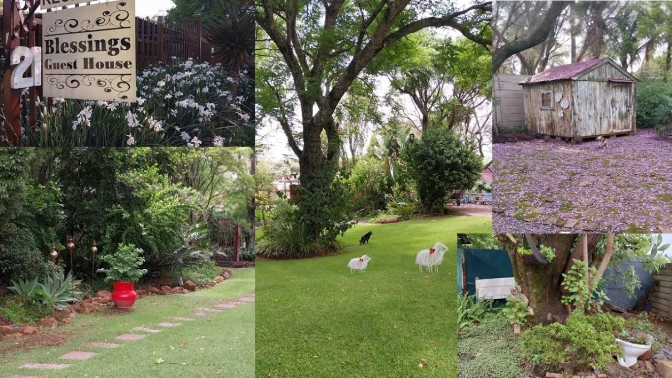 View (from property/room) in Blessings Guesthouse