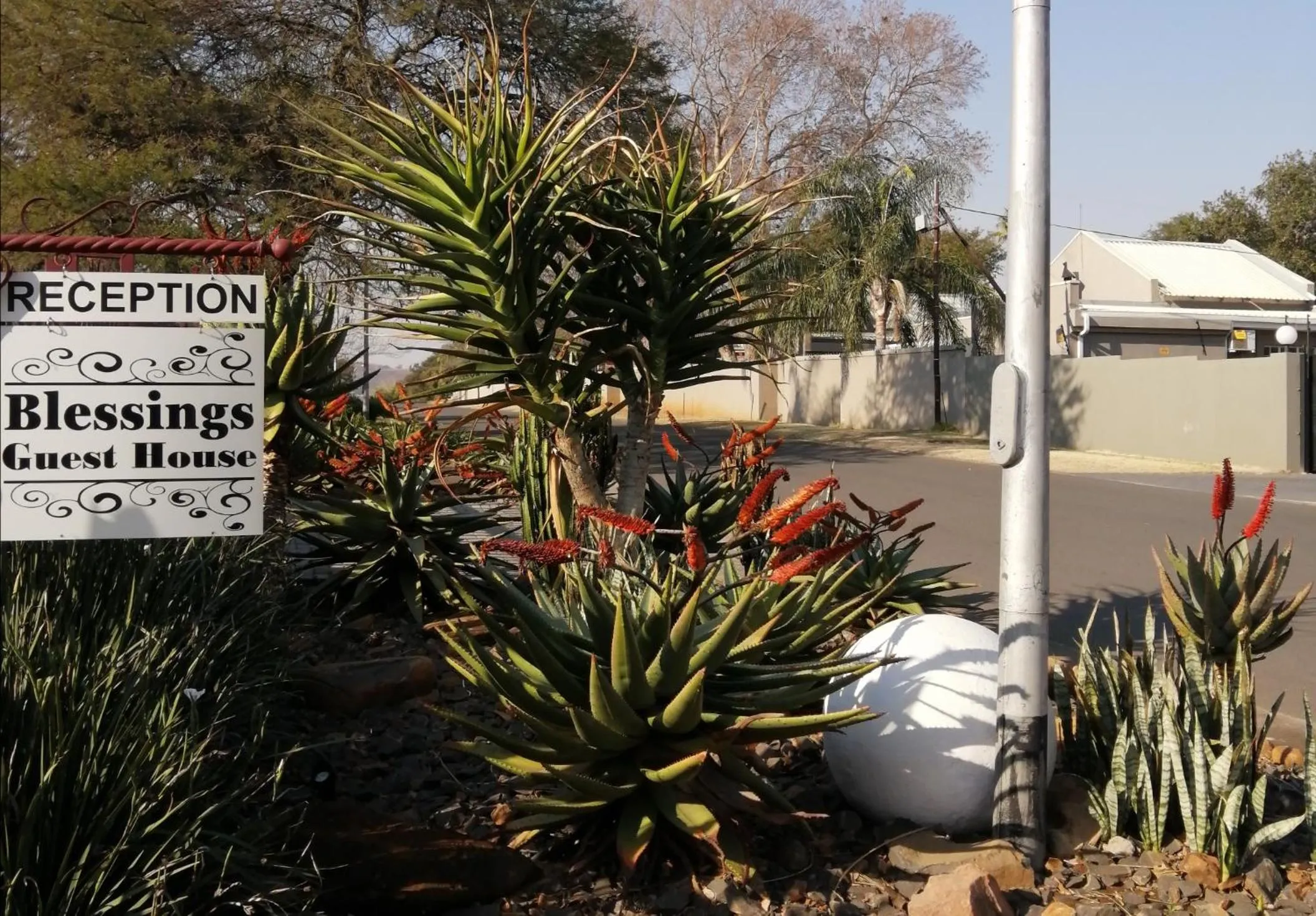Garden in Blessings Guesthouse