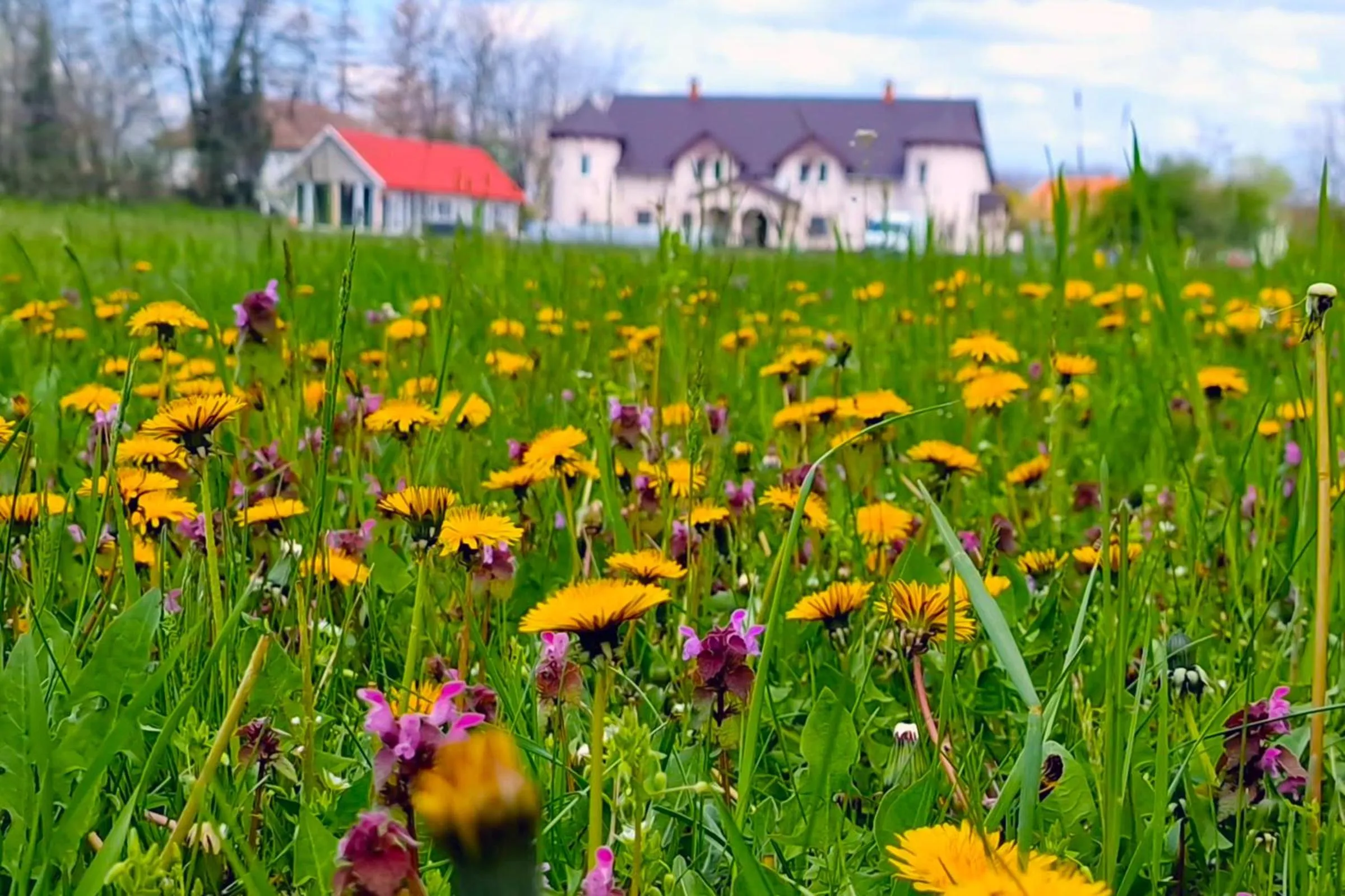 Property building in The Luxo Wine Museum Hotel