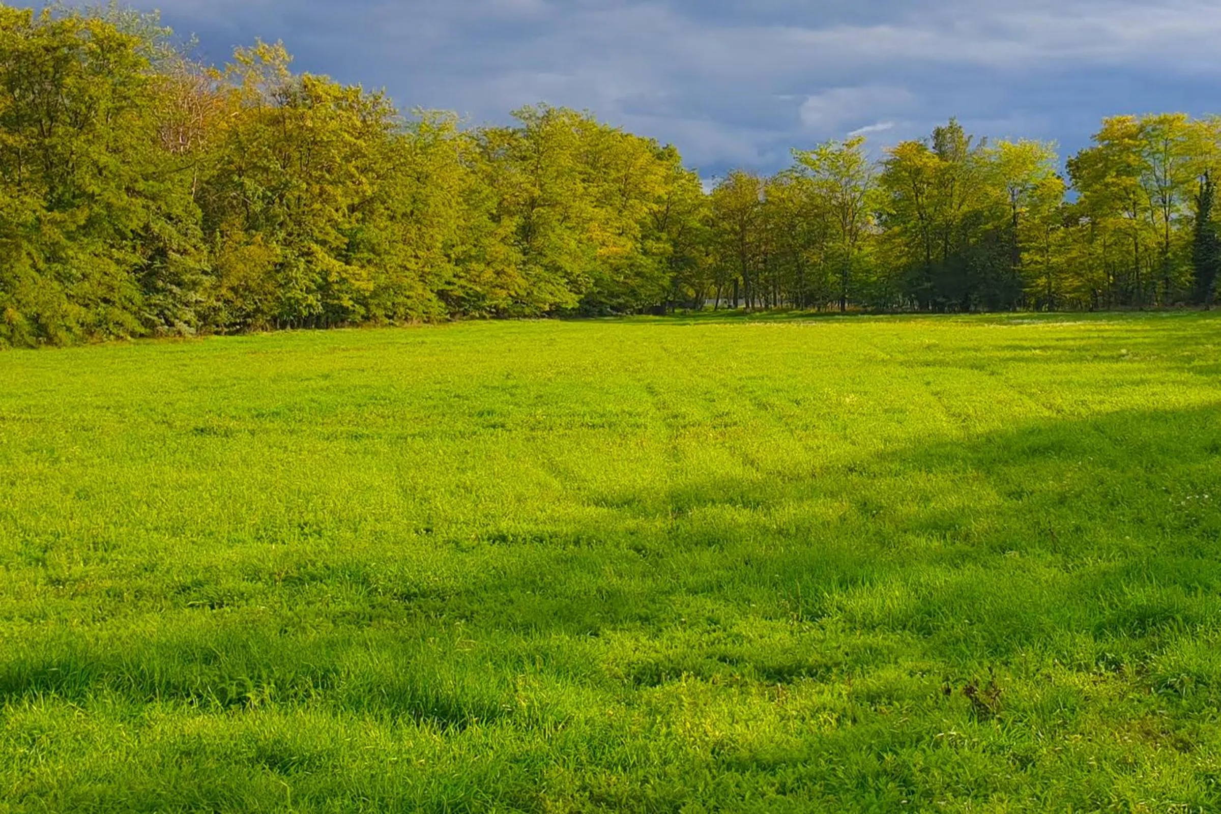 Natural landscape in The Luxo Wine Museum Hotel