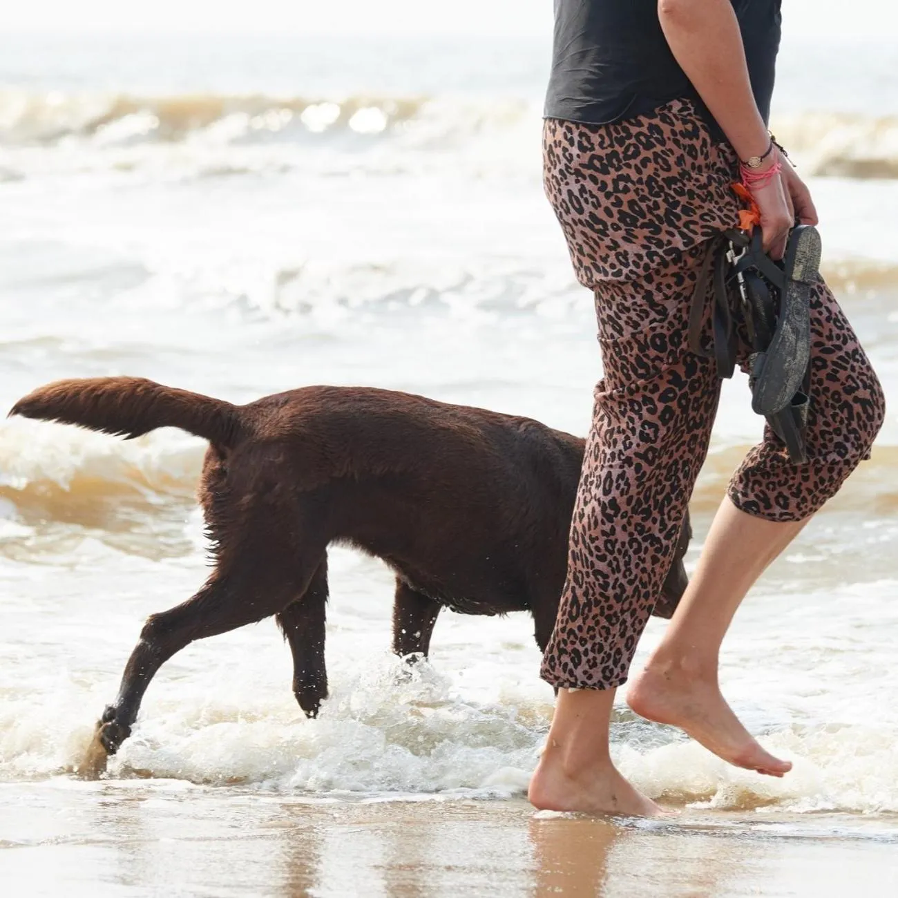Beach in Hotel Zonne