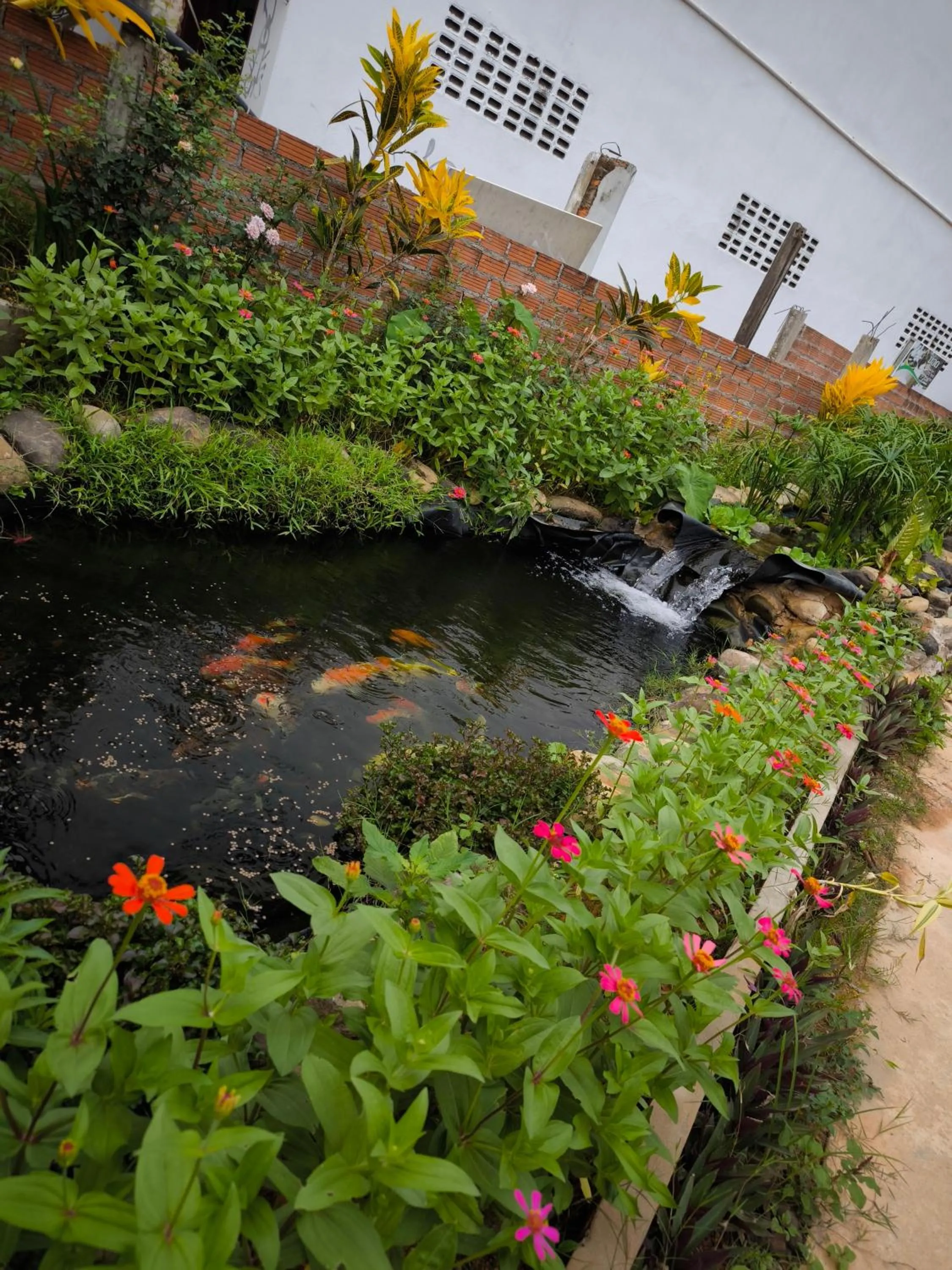 Garden in Dokchampa Hotel