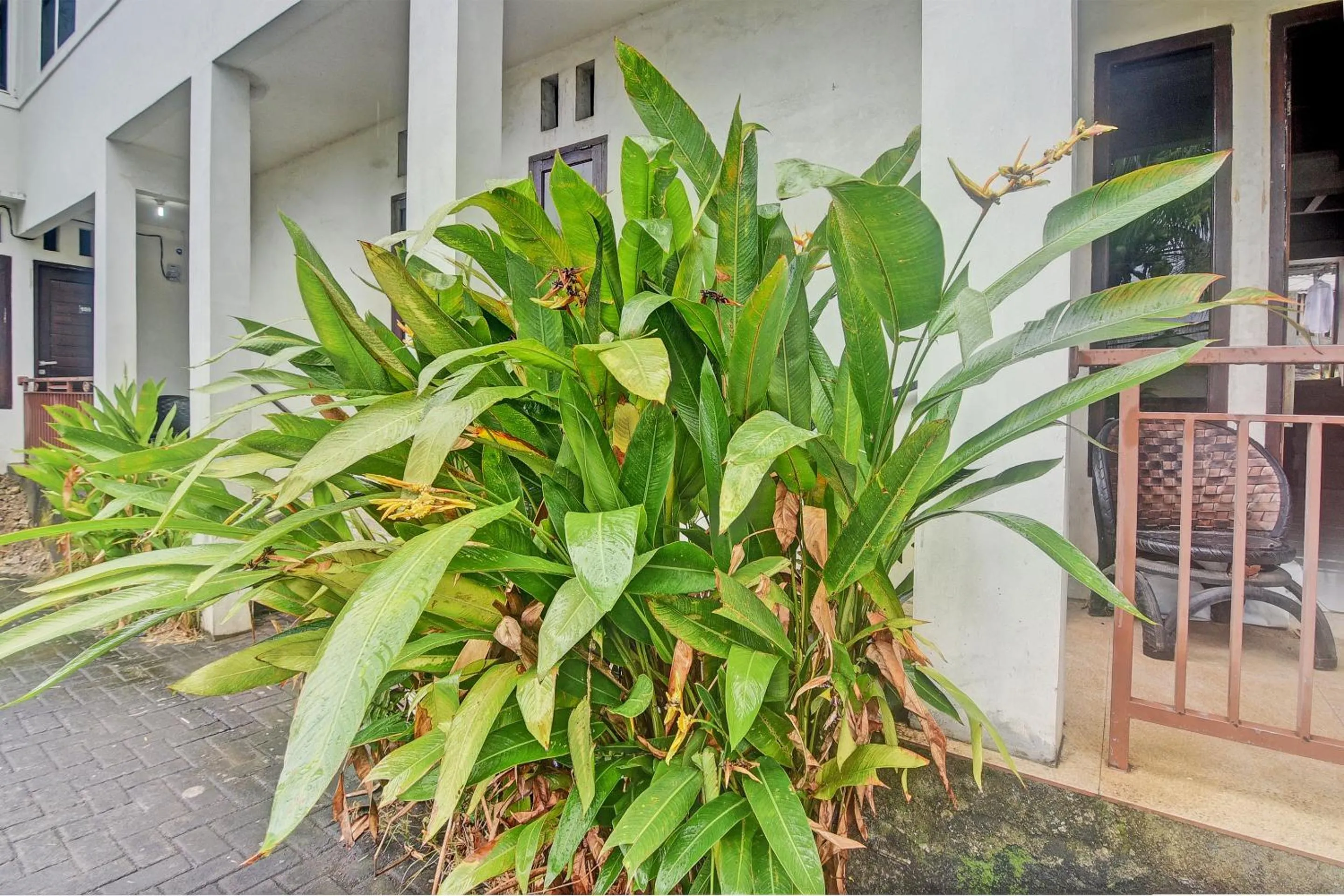 Lobby or reception in Hotel O Kost 99
