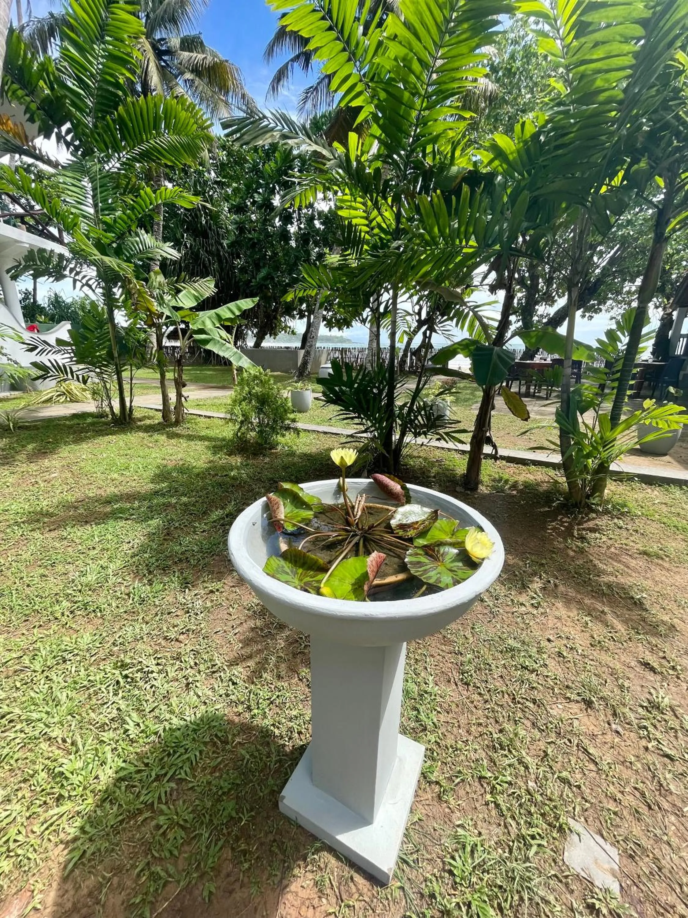 Property building in Casa Smeralda