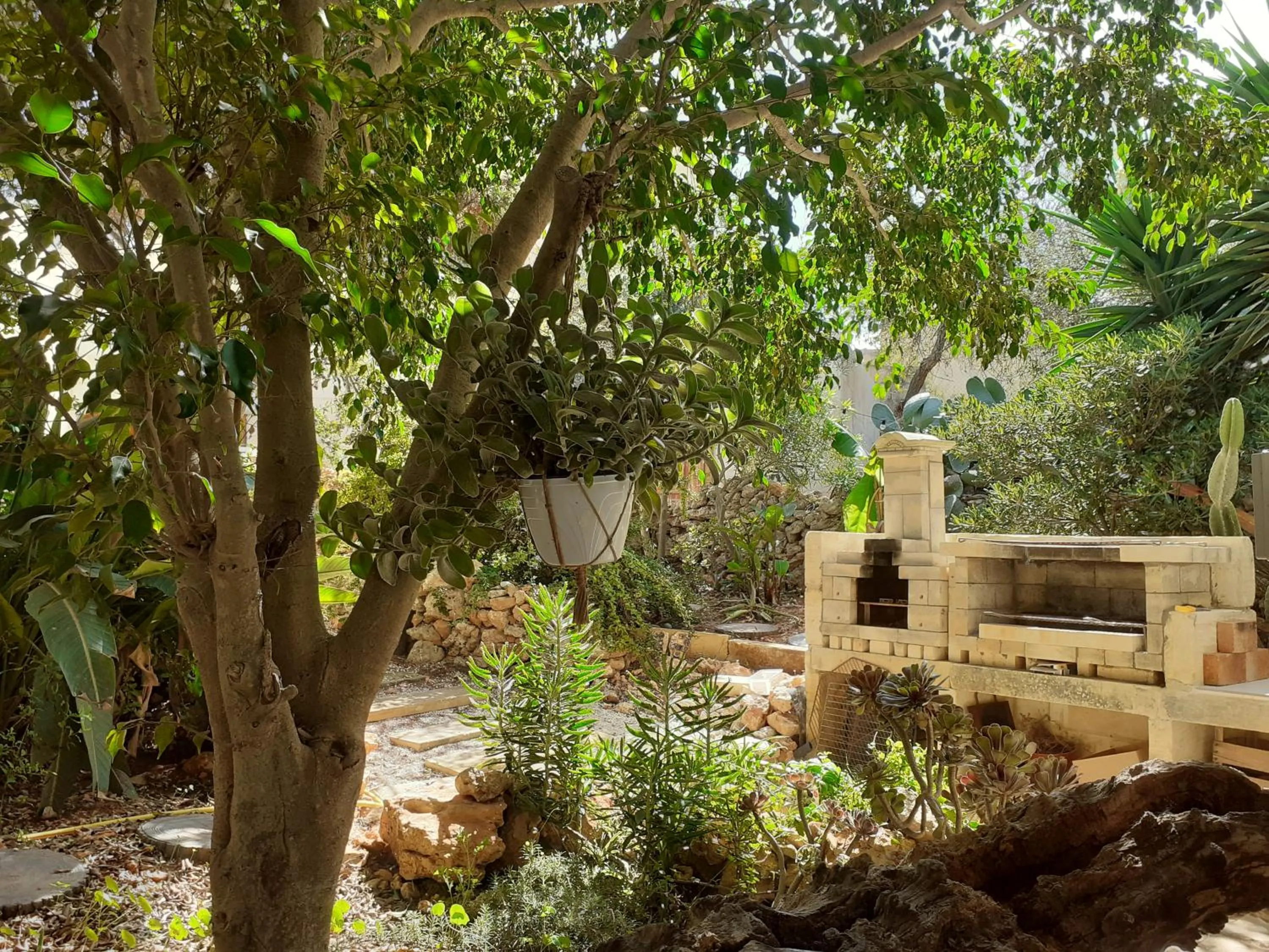 Garden in Charming B&B Dar Ta Zeppi