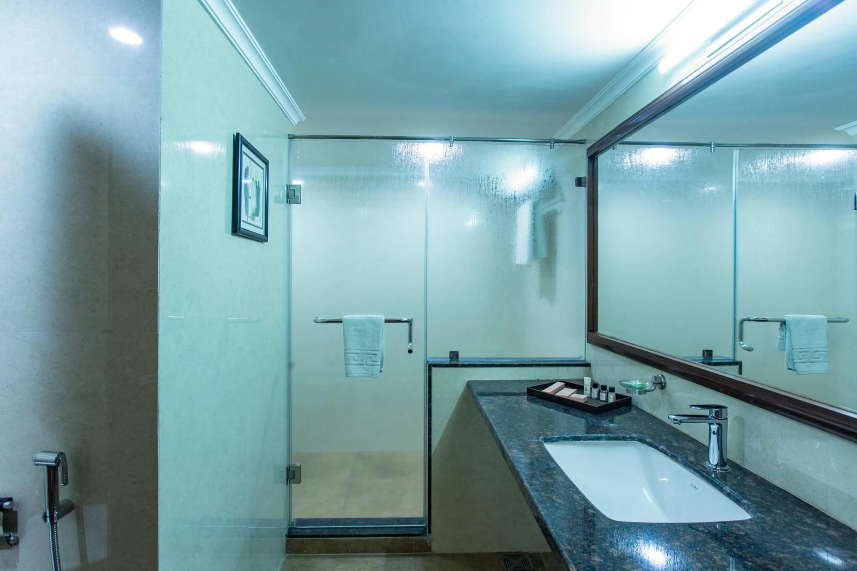 Bathroom in The Grand Regency