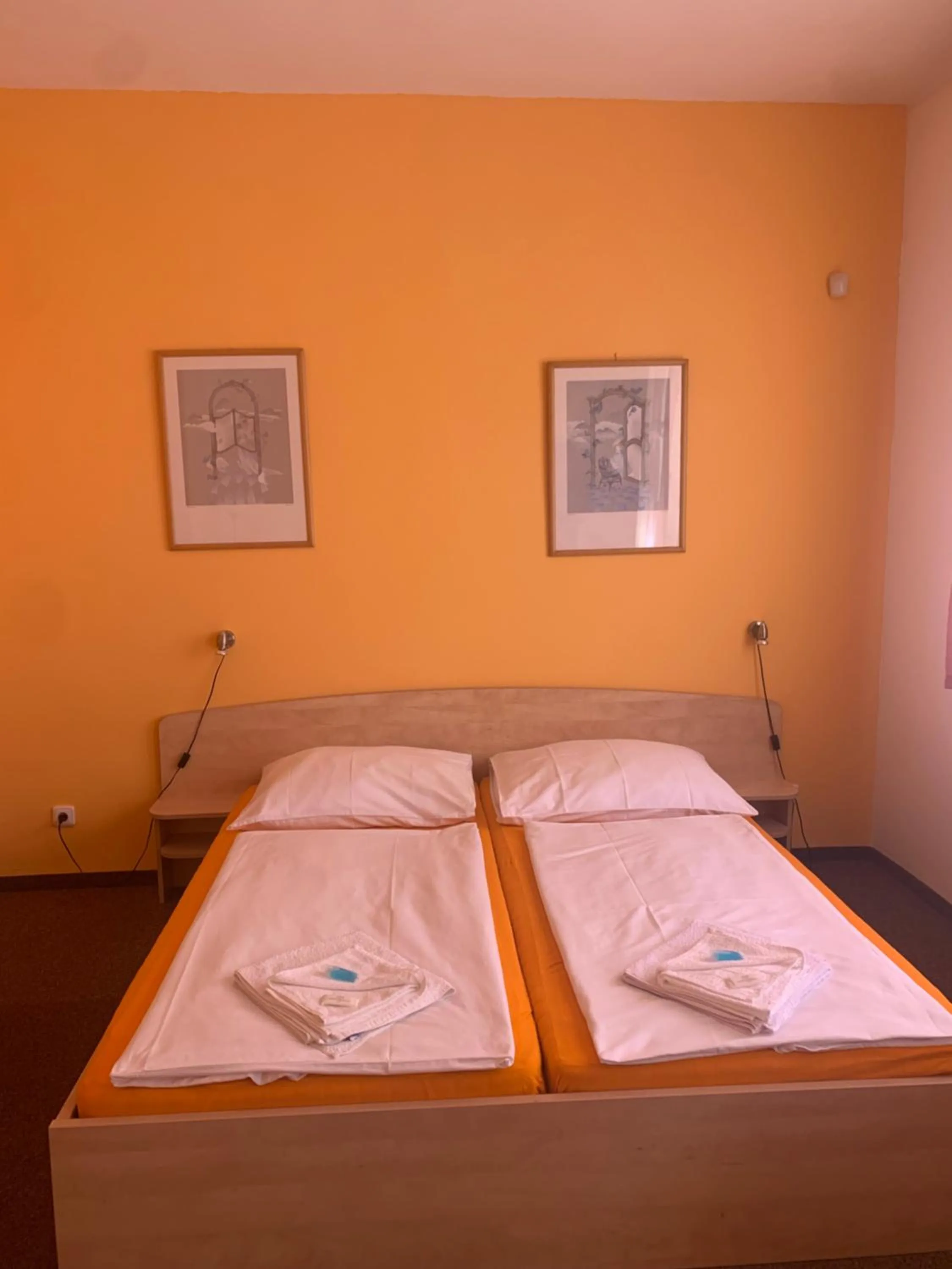 Bed in hotel Sádek