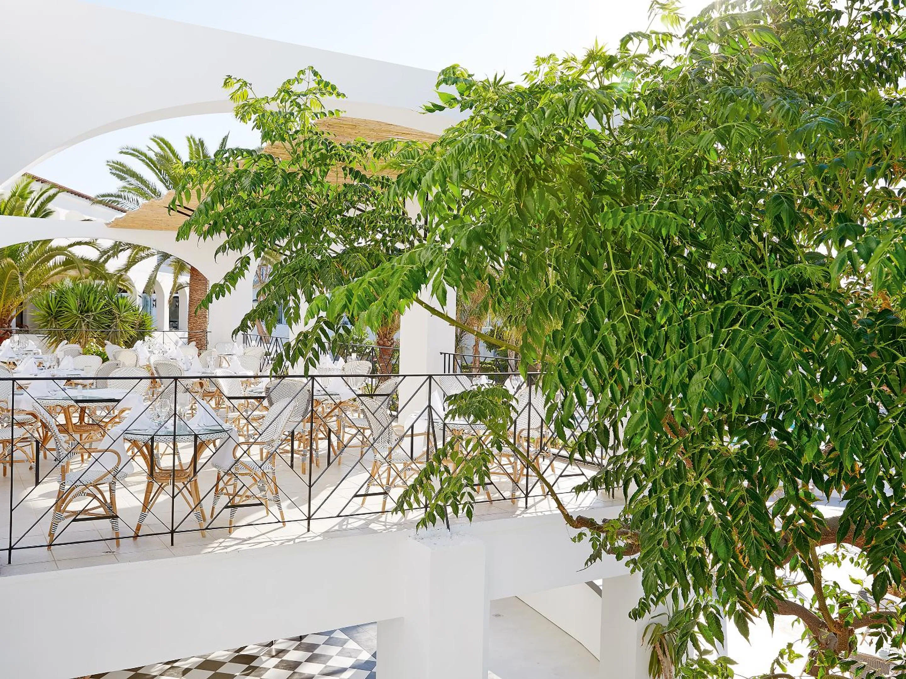 Restaurant/places to eat in Caramel, A Grecotel Resort to Live