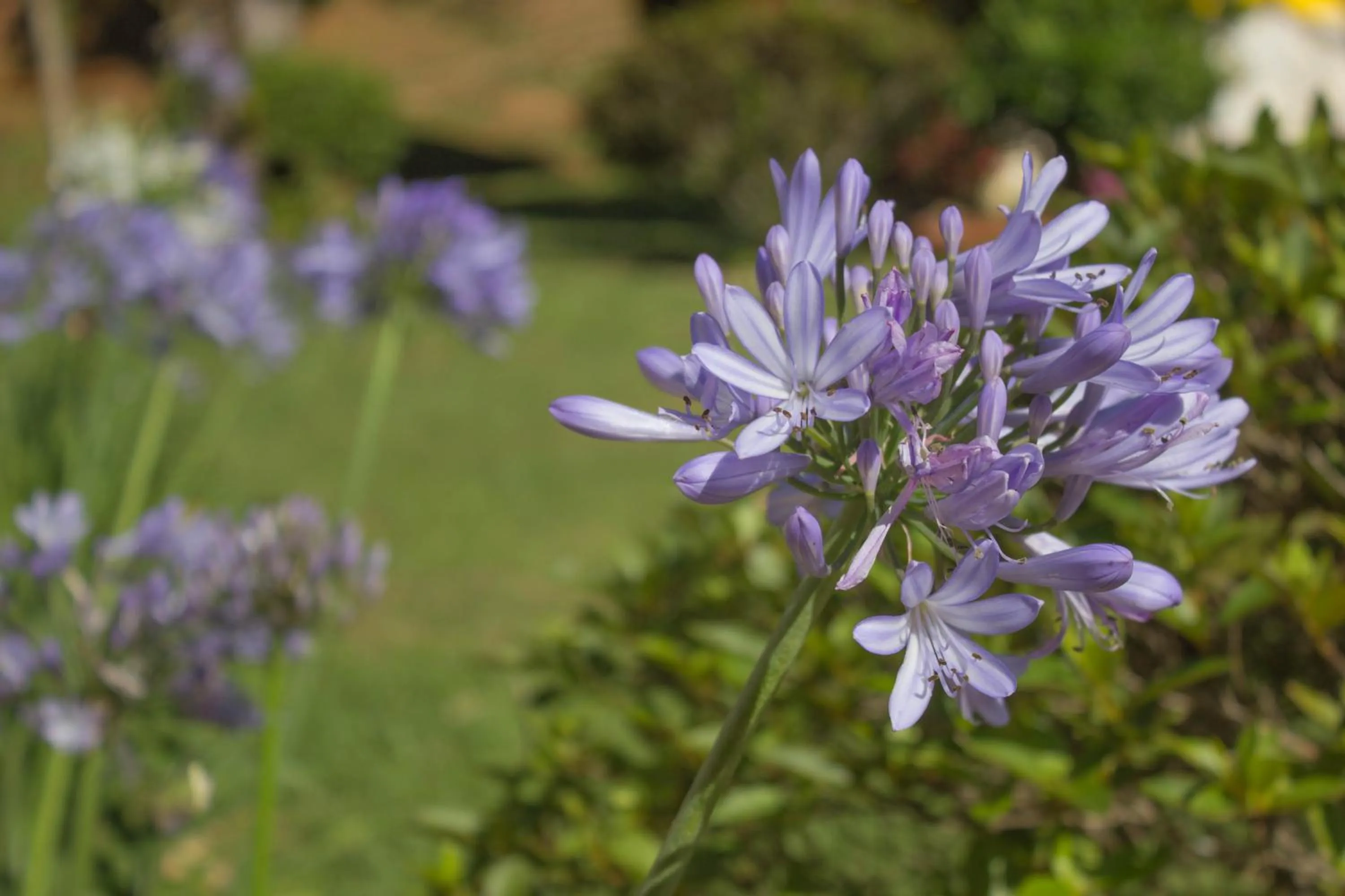Garden in Pousada Refúgio das Aves