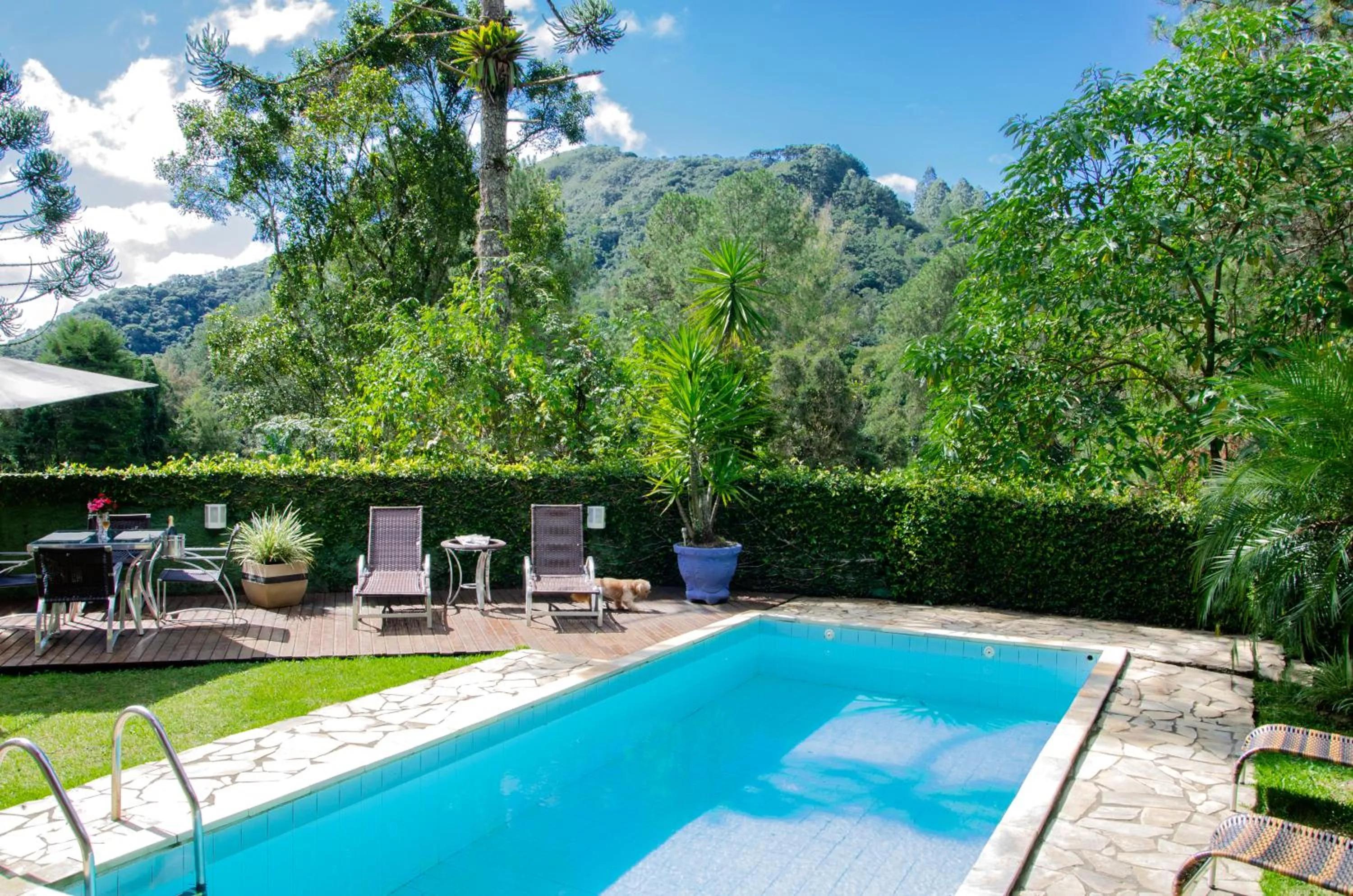 Pool view in Pousada Refúgio das Aves